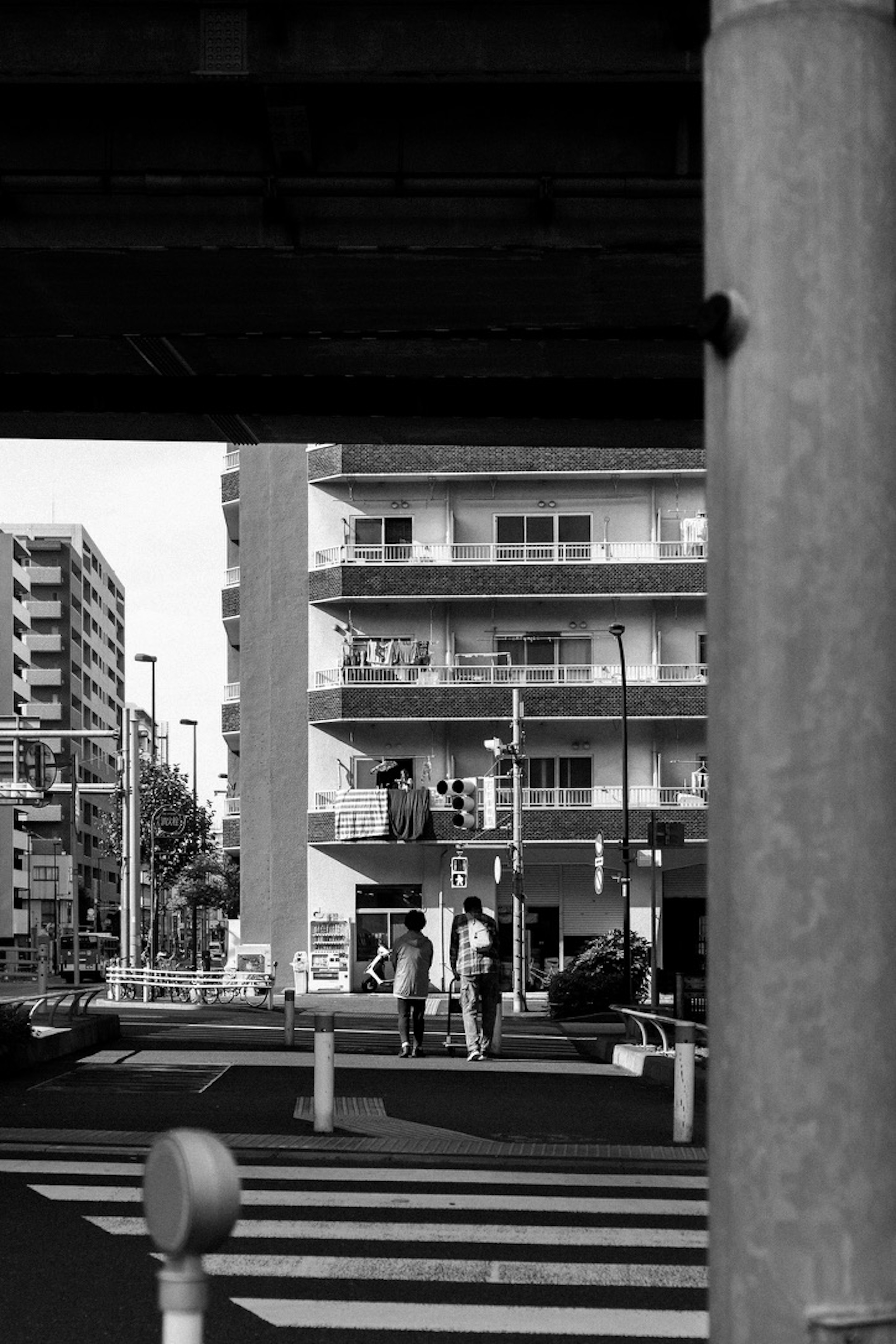 Escena urbana en blanco y negro con paso peatonal y edificios