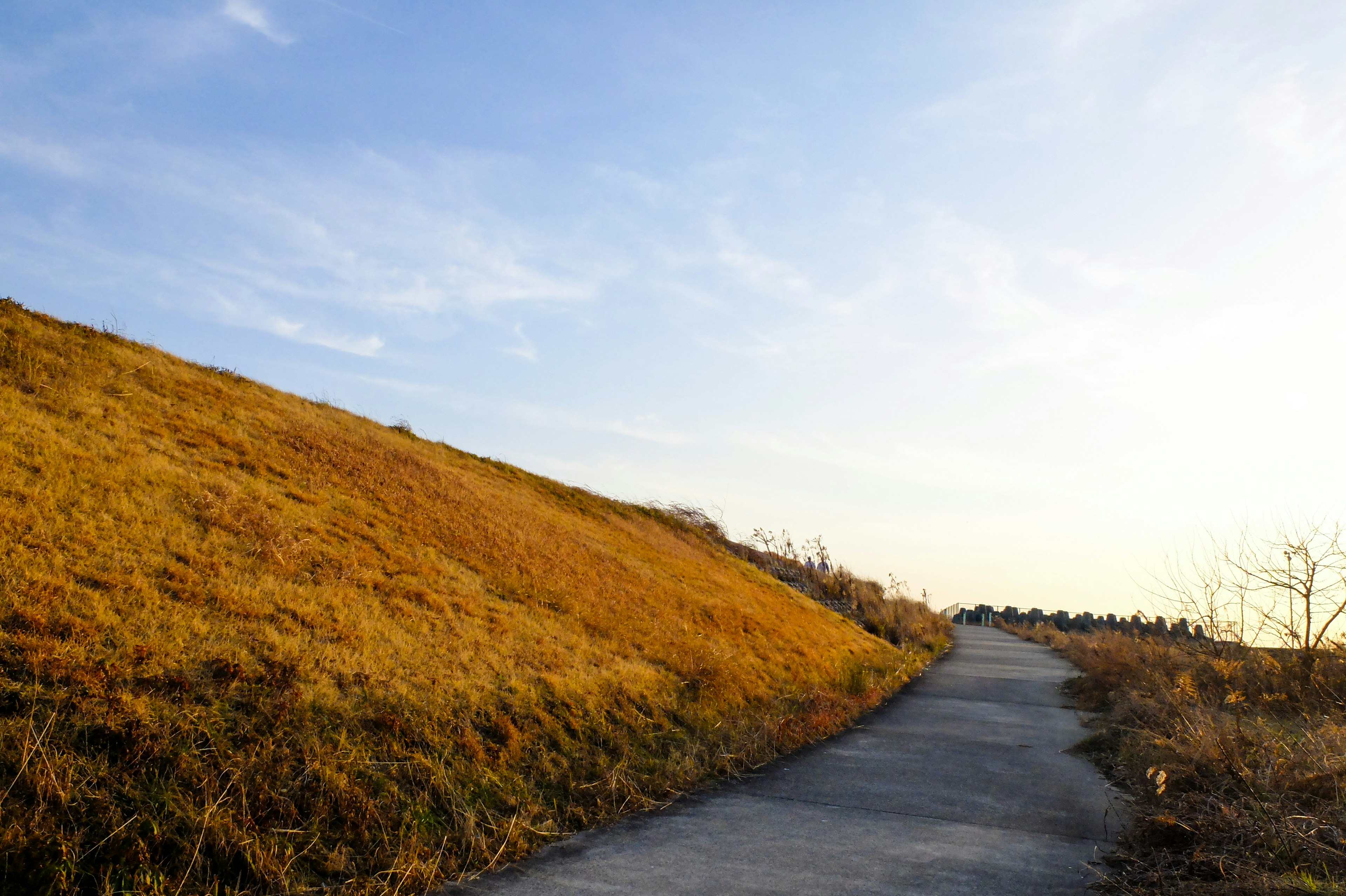 Paved road leading through golden grassland under a blue sky