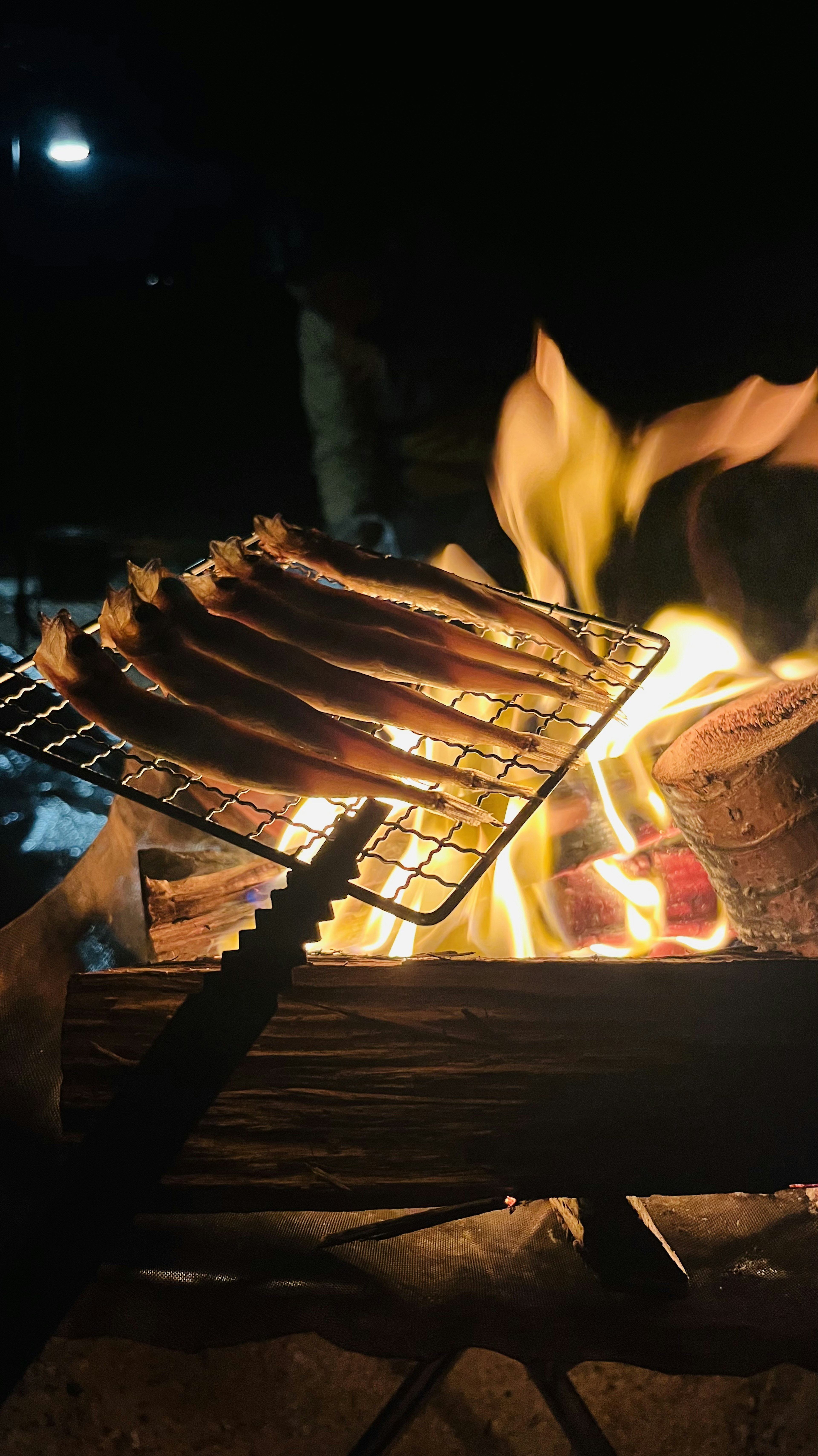 Brochetas de carne asadas sobre una fogata por la noche