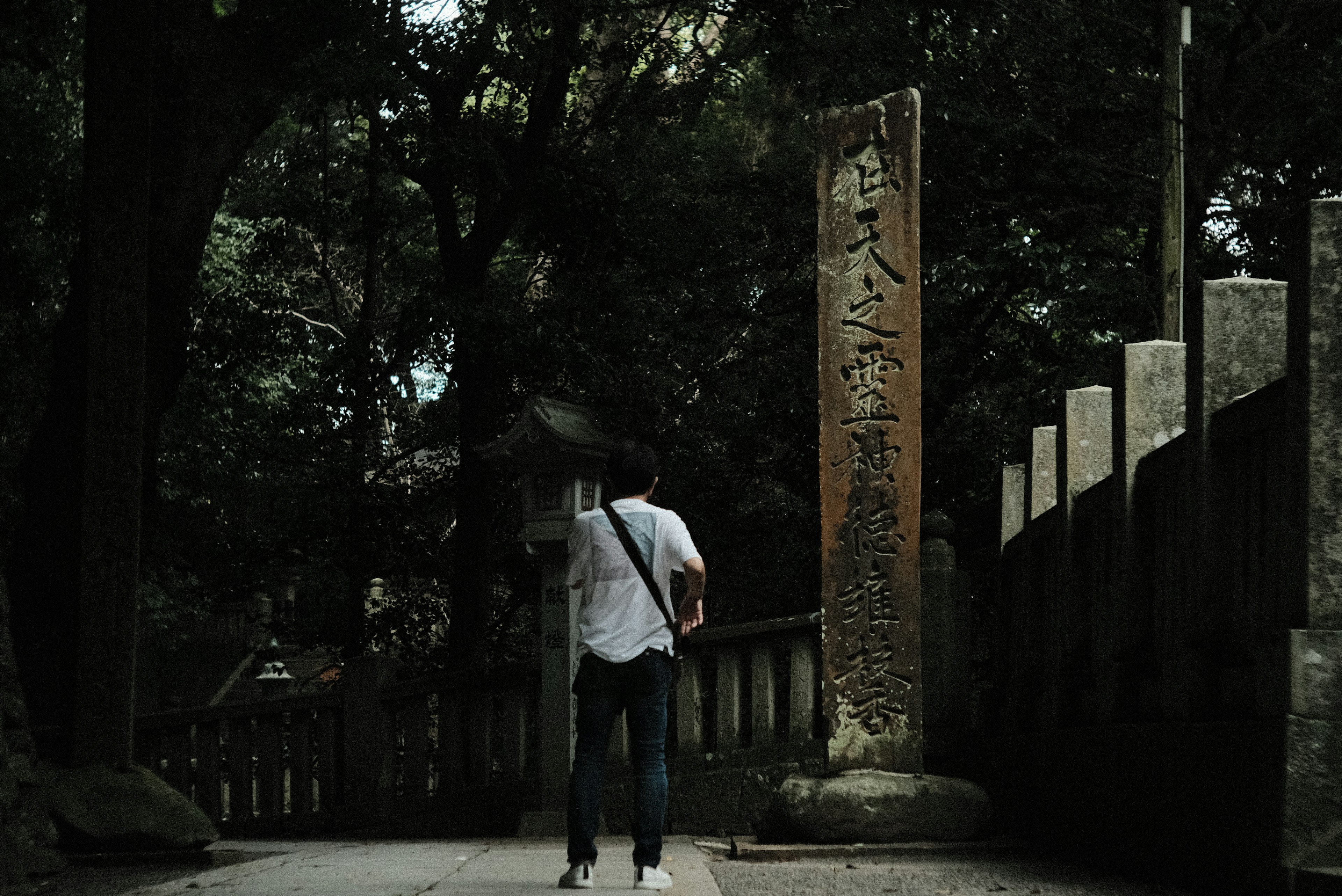 A person walking in front of an ancient stone monument surrounded by trees