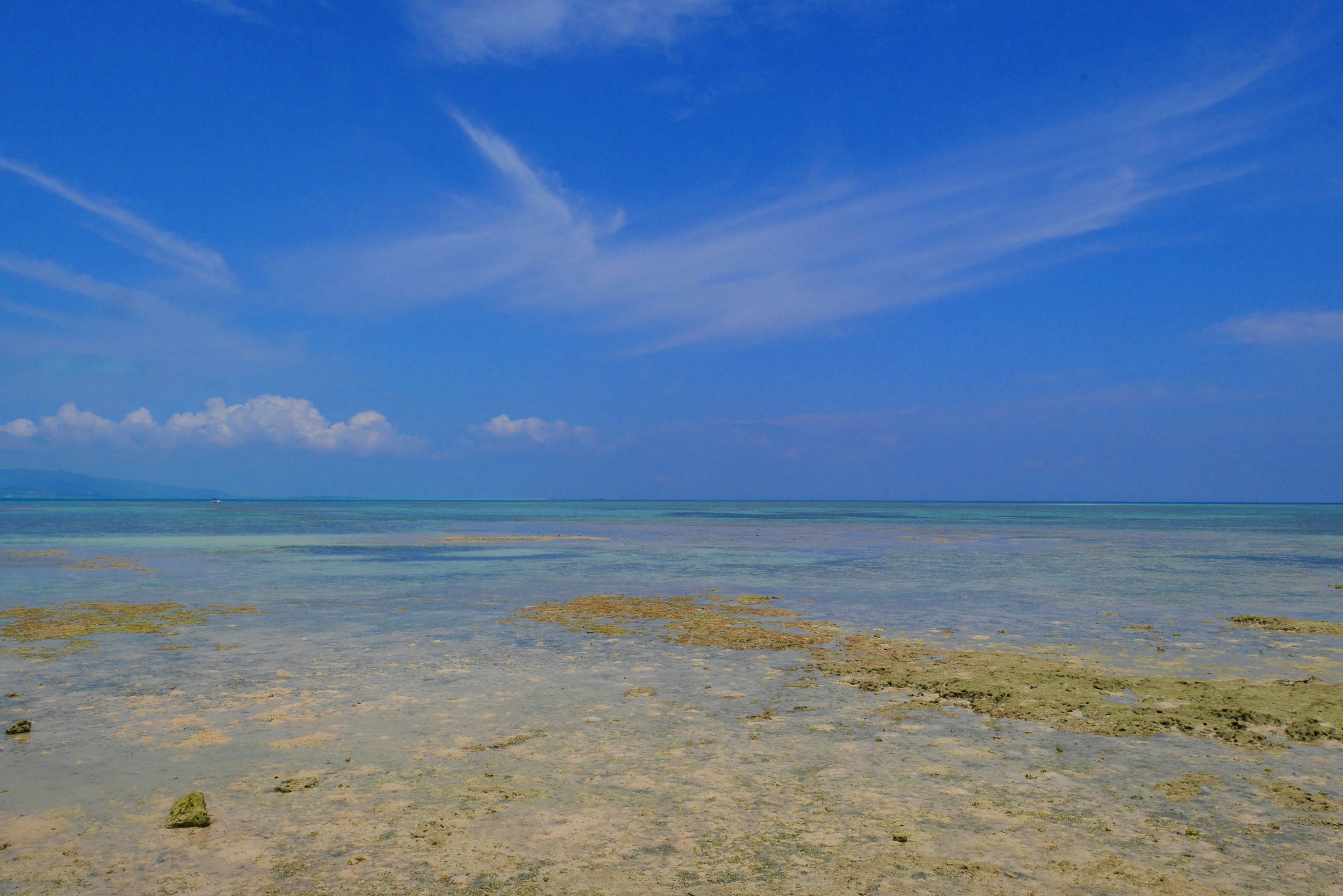 Vast shallow waters under a bright blue sky