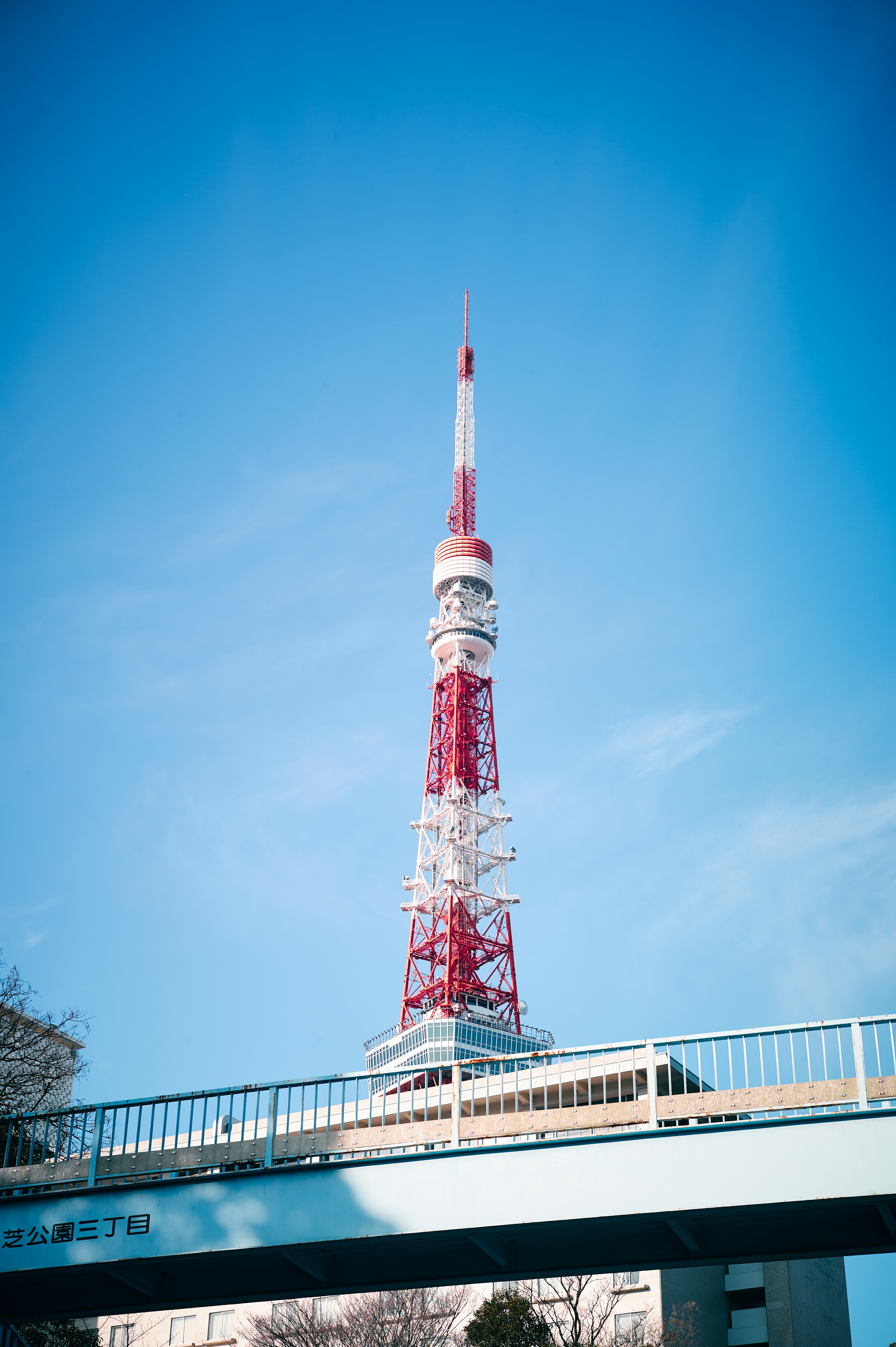 Menara Tokyo dengan warna merah dan putih menjulang di bawah langit biru