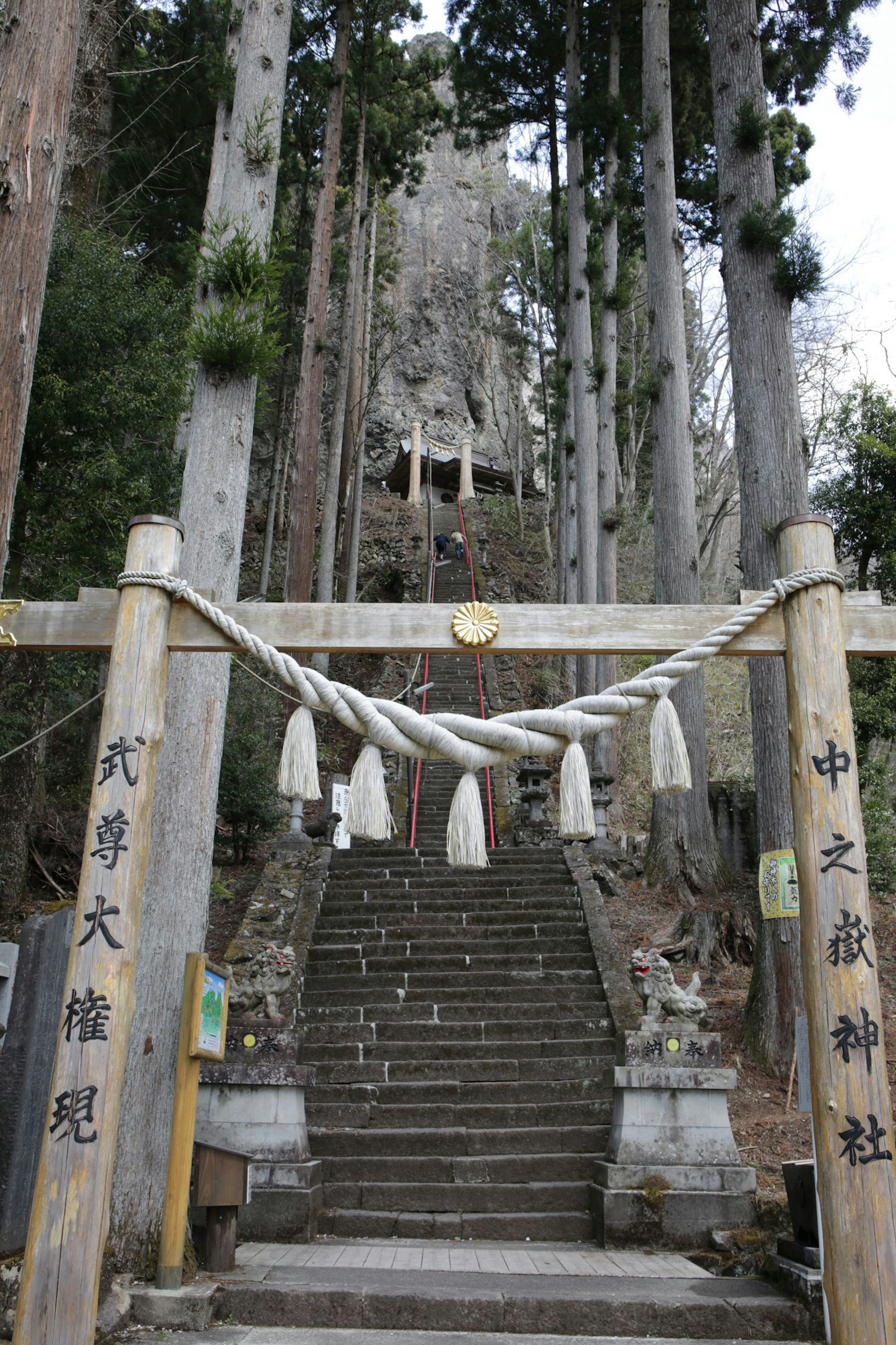 Entrance to a shrine with a torii gate and shimenawa in a forest with stone steps