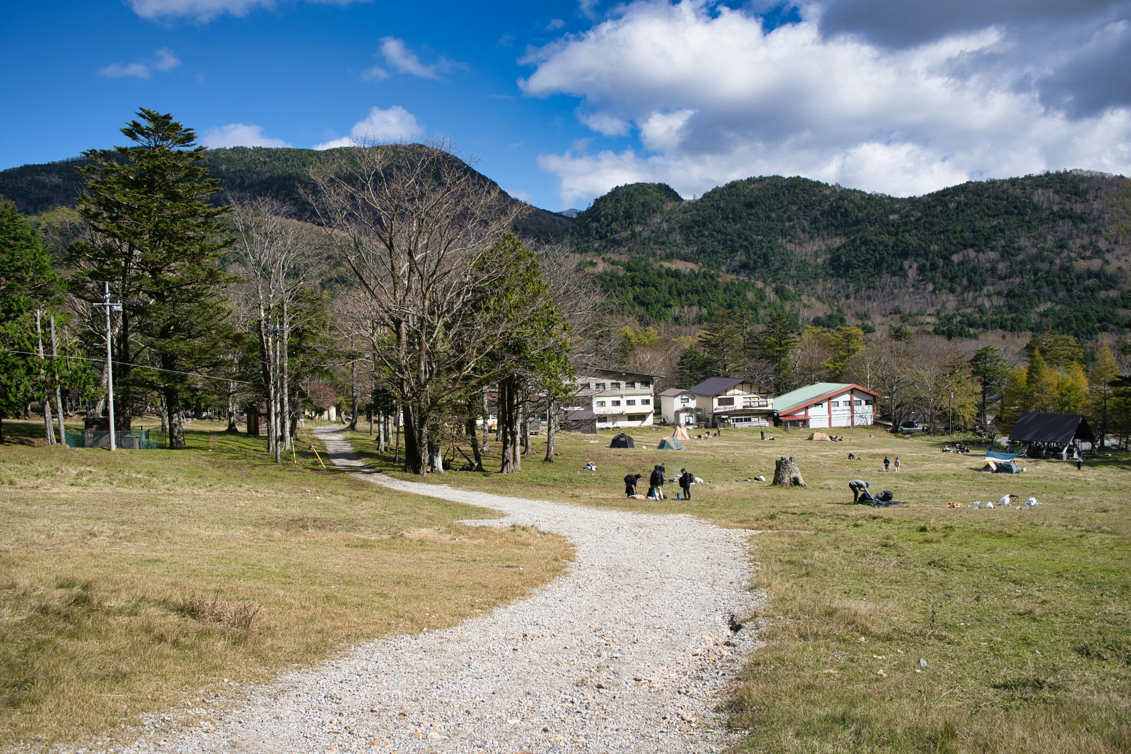 緑の草原と山々を背景にした小道と建物の風景