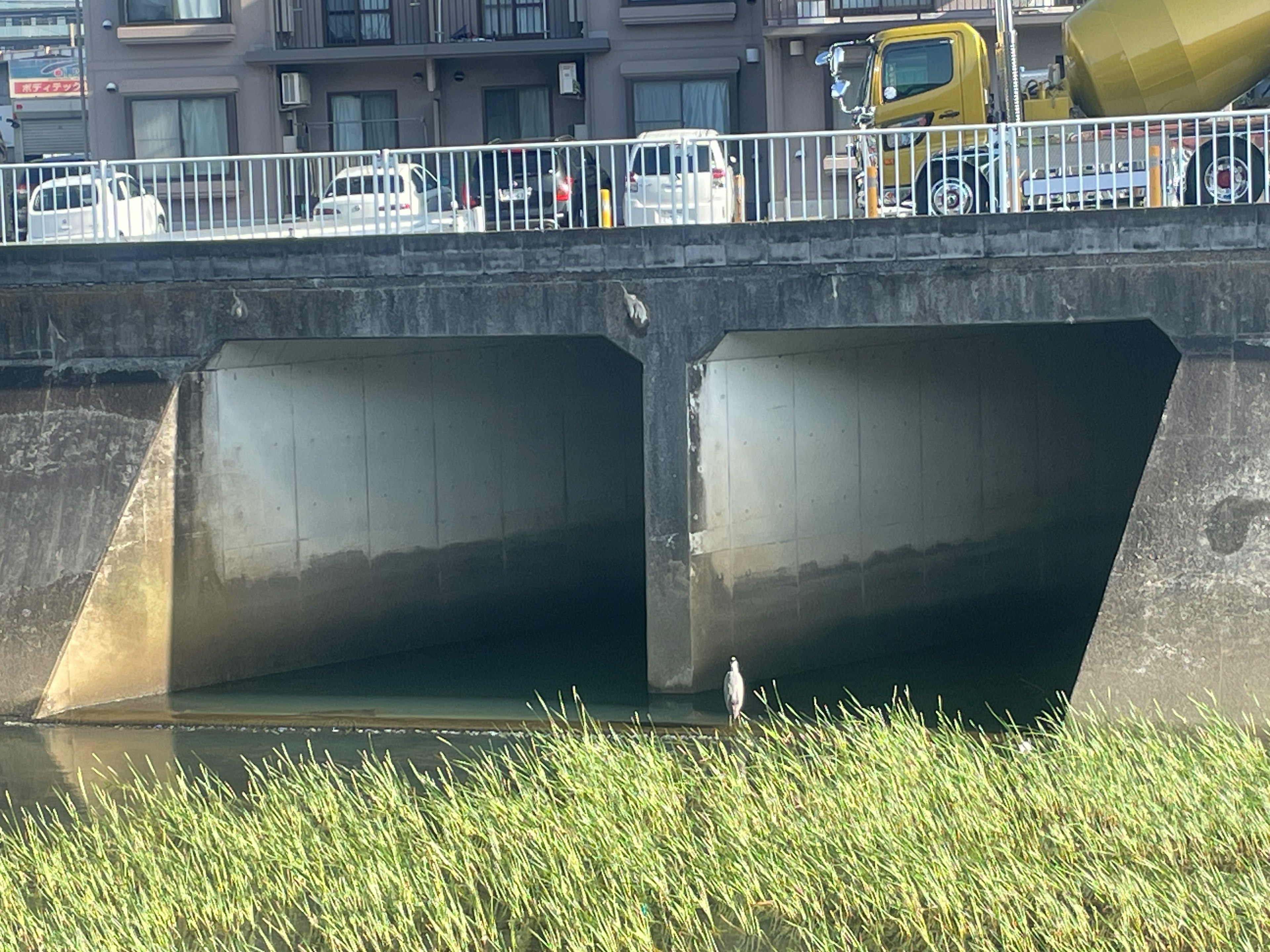 橋の下にある水路と緑の草が見える風景