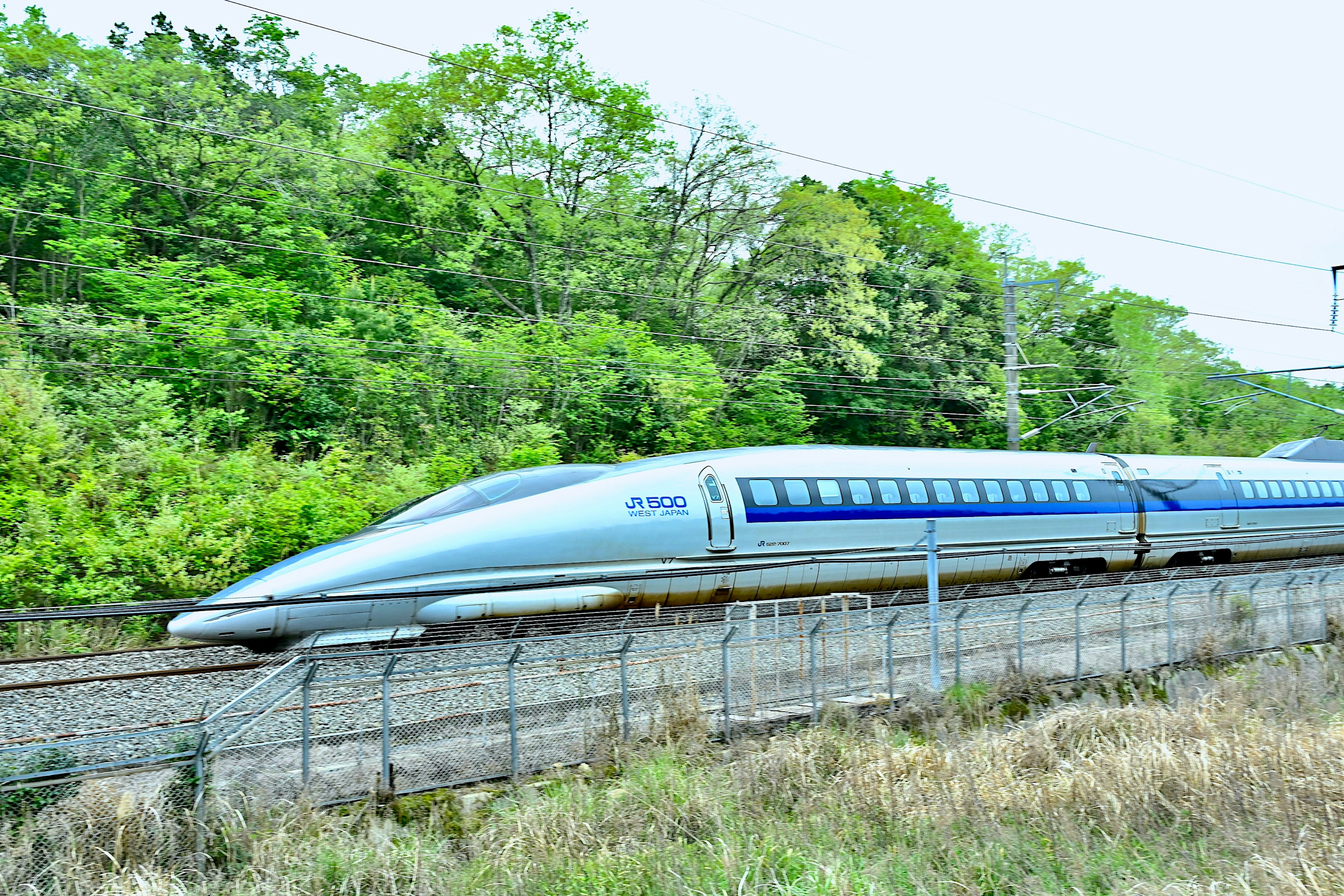 青い新幹線が緑の森の中を走る風景