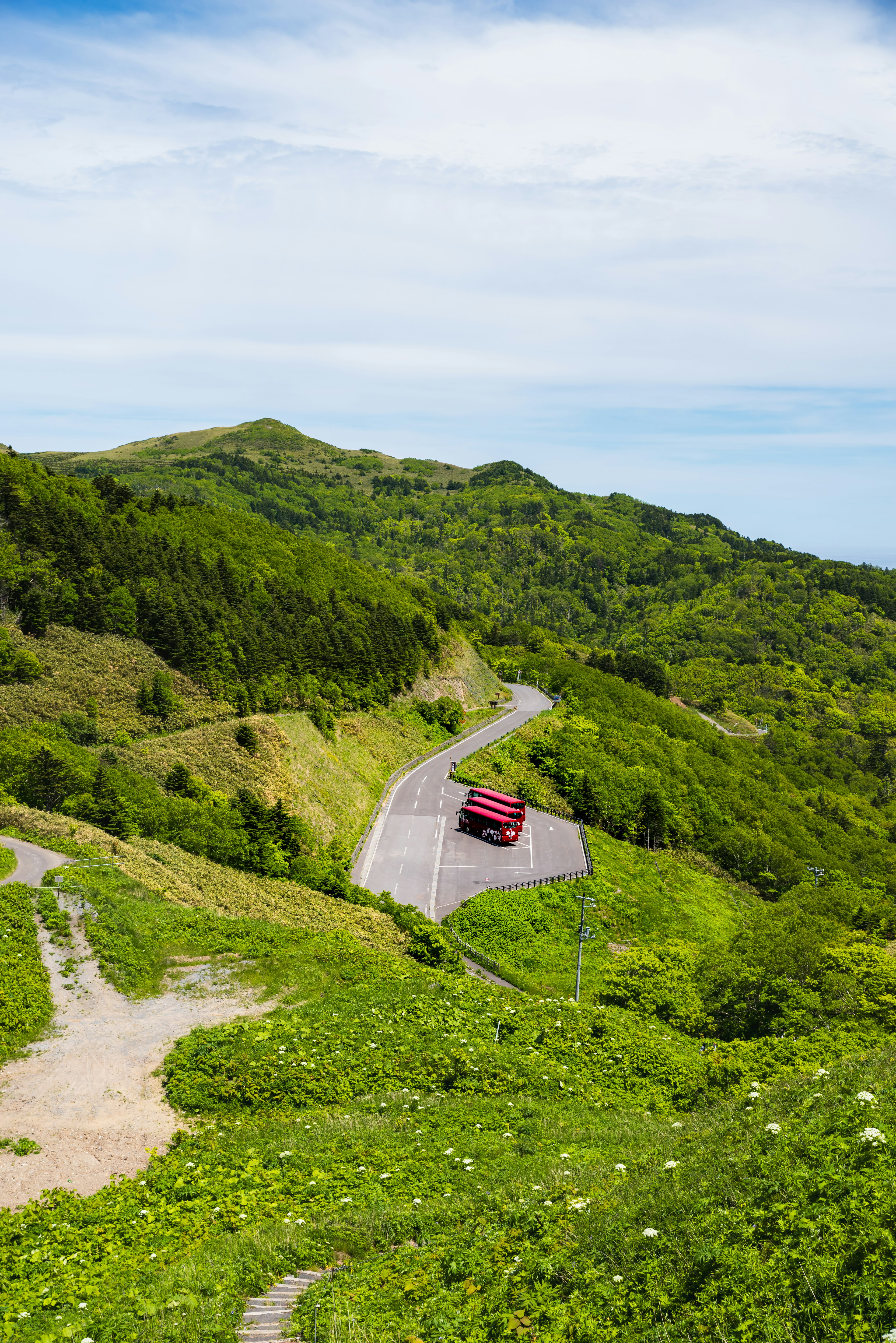 一辆红色汽车沿着蜿蜒的道路穿过郁郁葱葱的绿色山丘