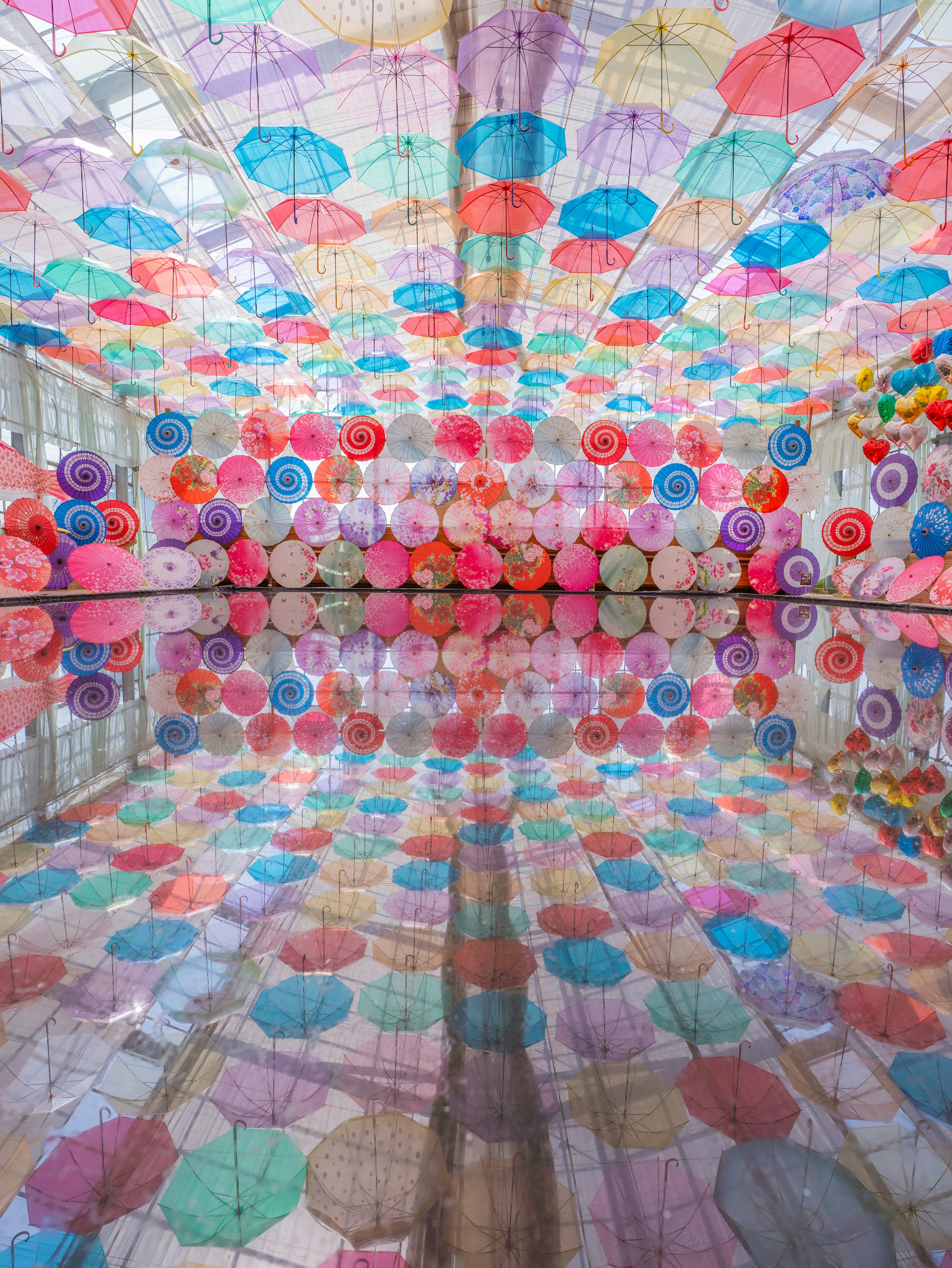 Vibrant indoor scene with colorful umbrellas hanging from the ceiling