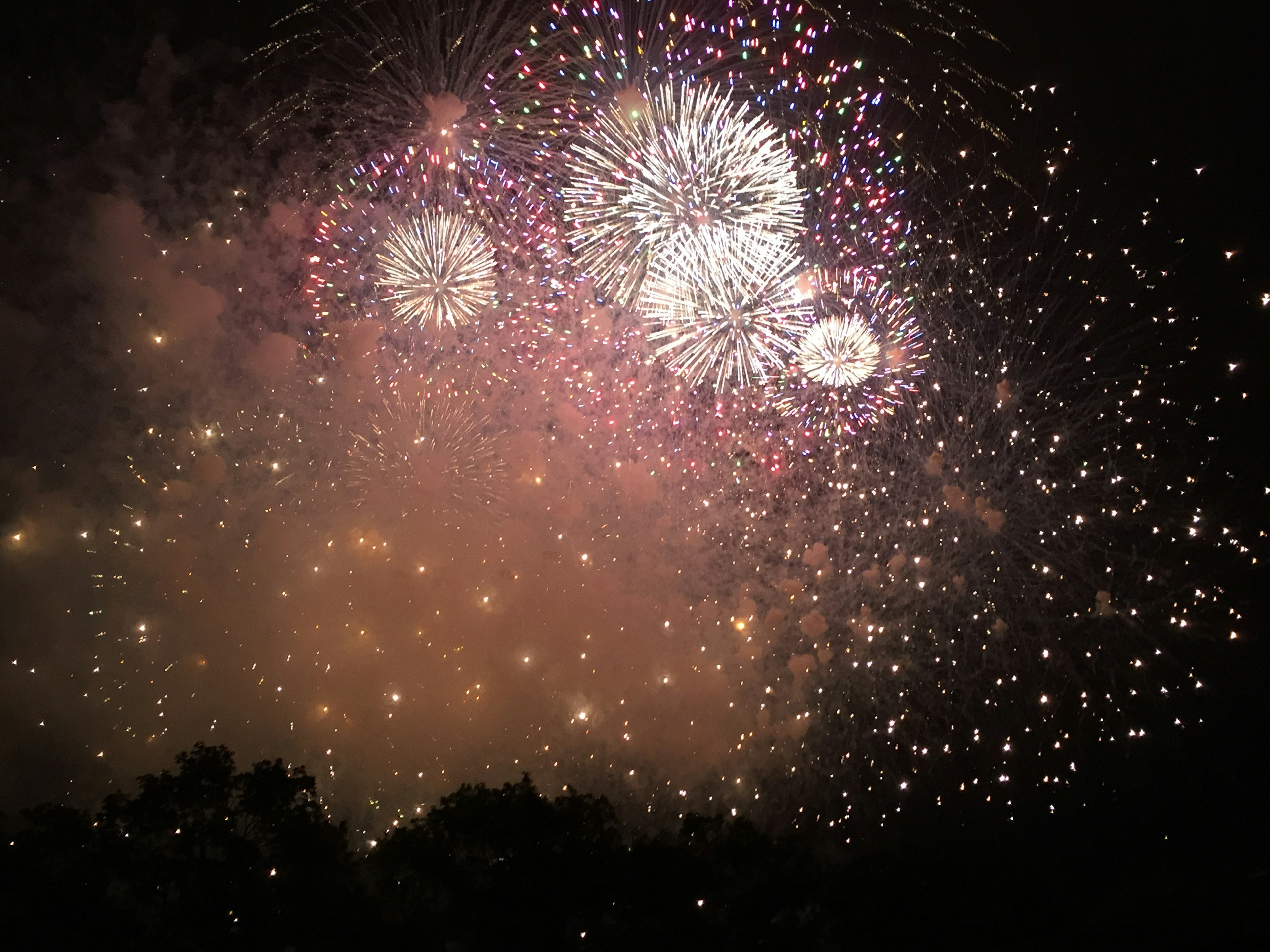 Espectáculo de fuegos artificiales coloridos en el cielo nocturno con explosiones vibrantes