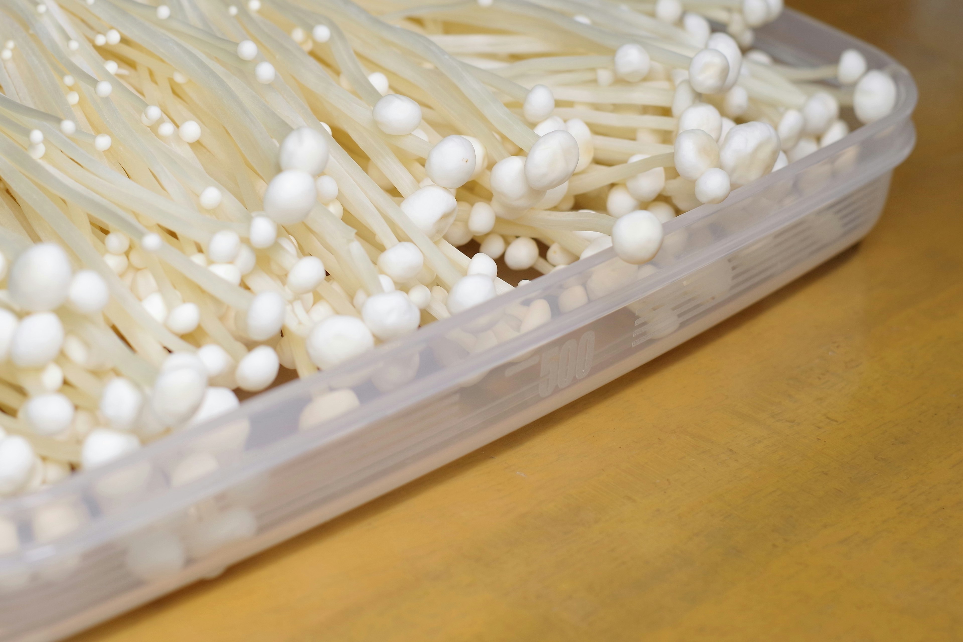 Side view of a plastic container filled with white enoki mushrooms