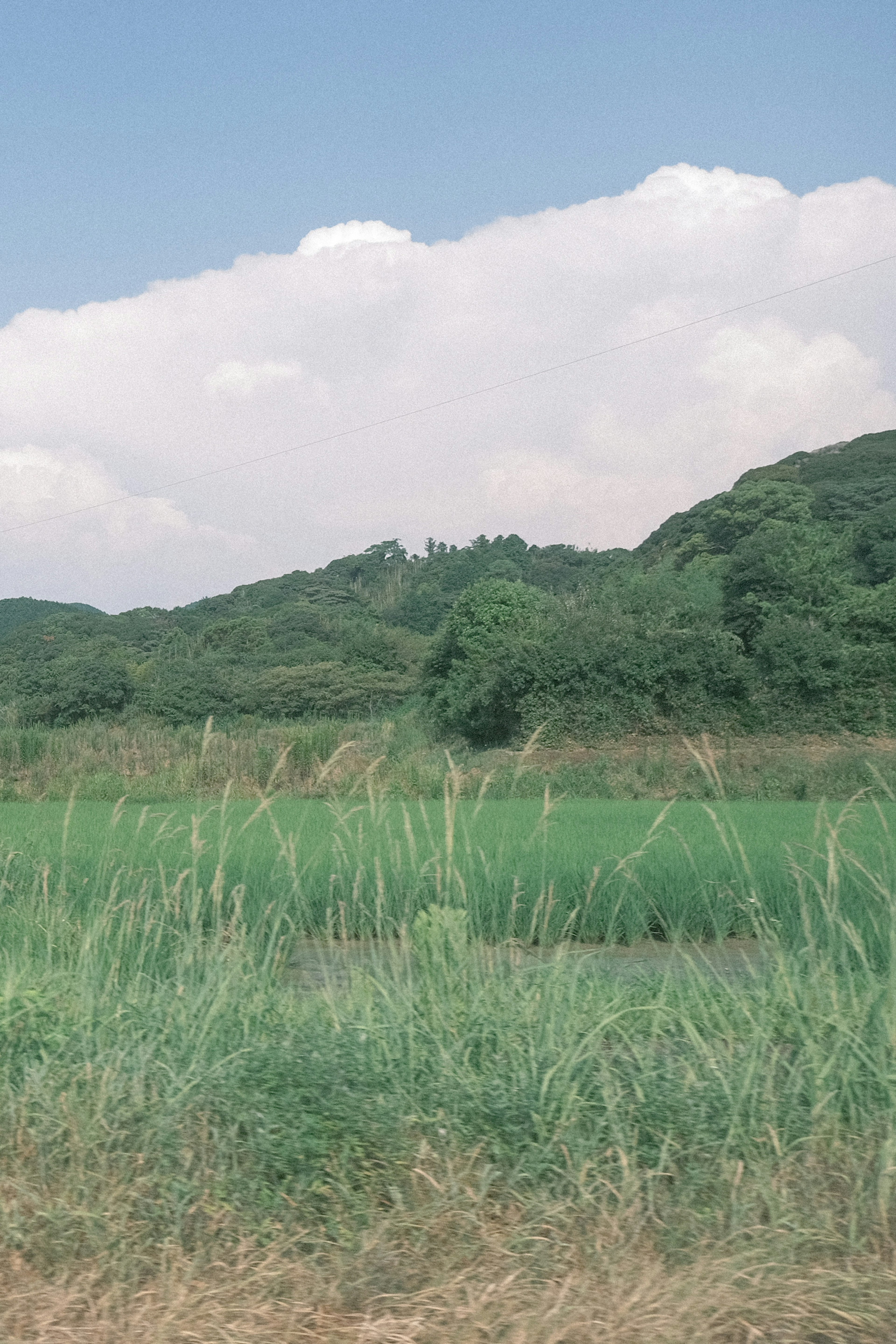 青い空と白い雲の下に広がる緑の草原と丘