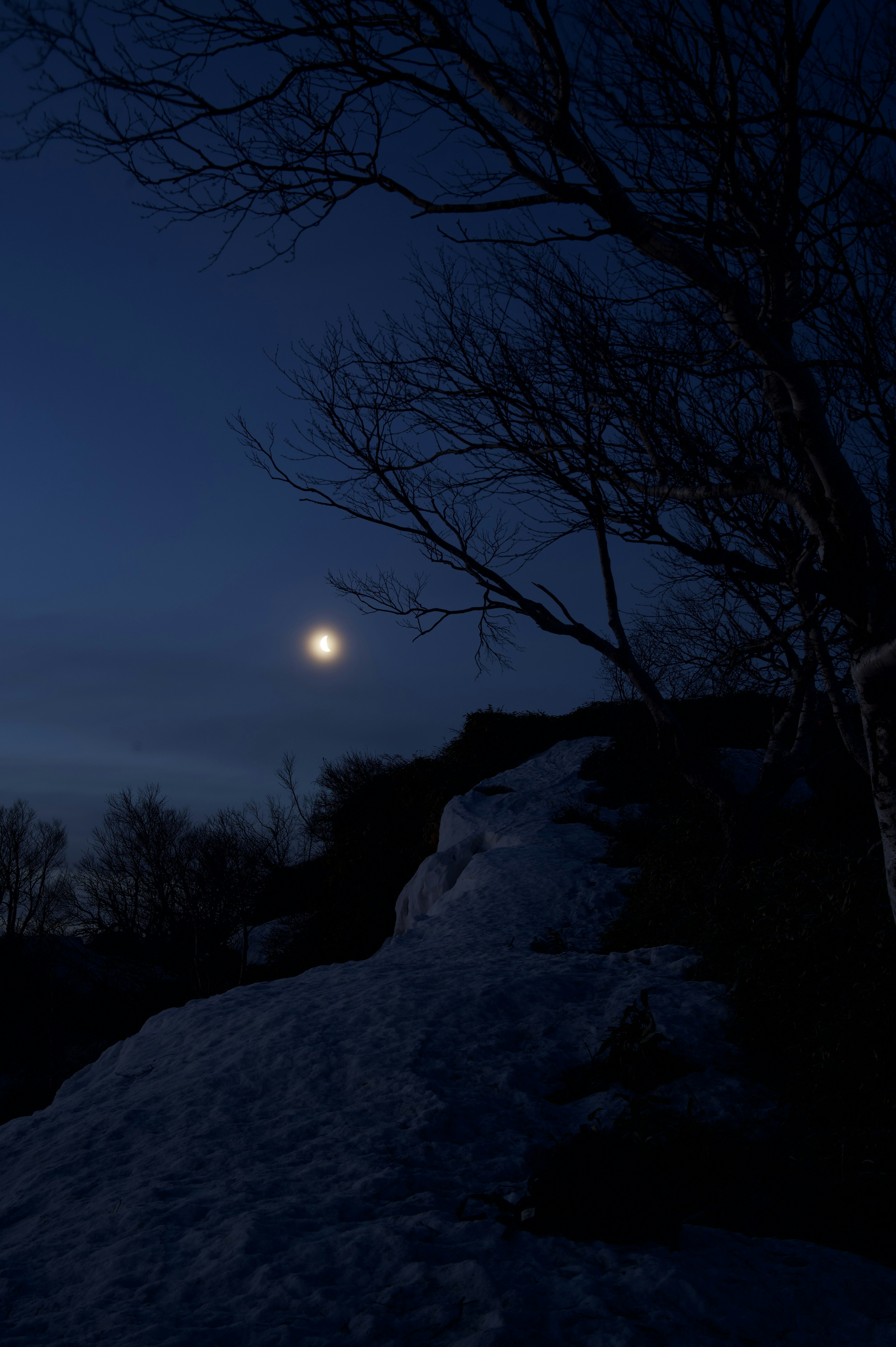 Luna brillante nel cielo notturno con terreno coperto di neve