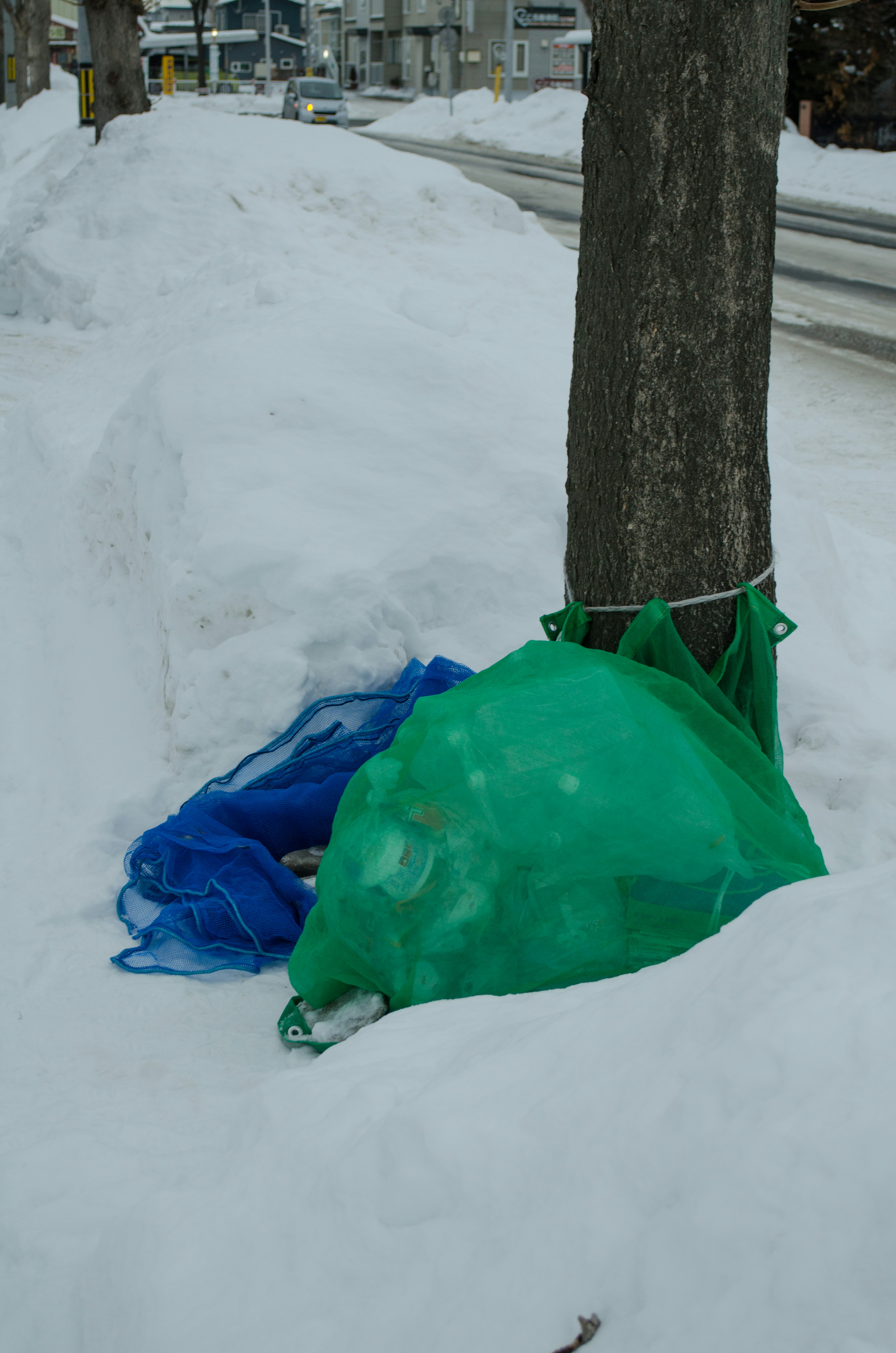 Bolsas de malla azul y verde colocadas en una acera cubierta de nieve