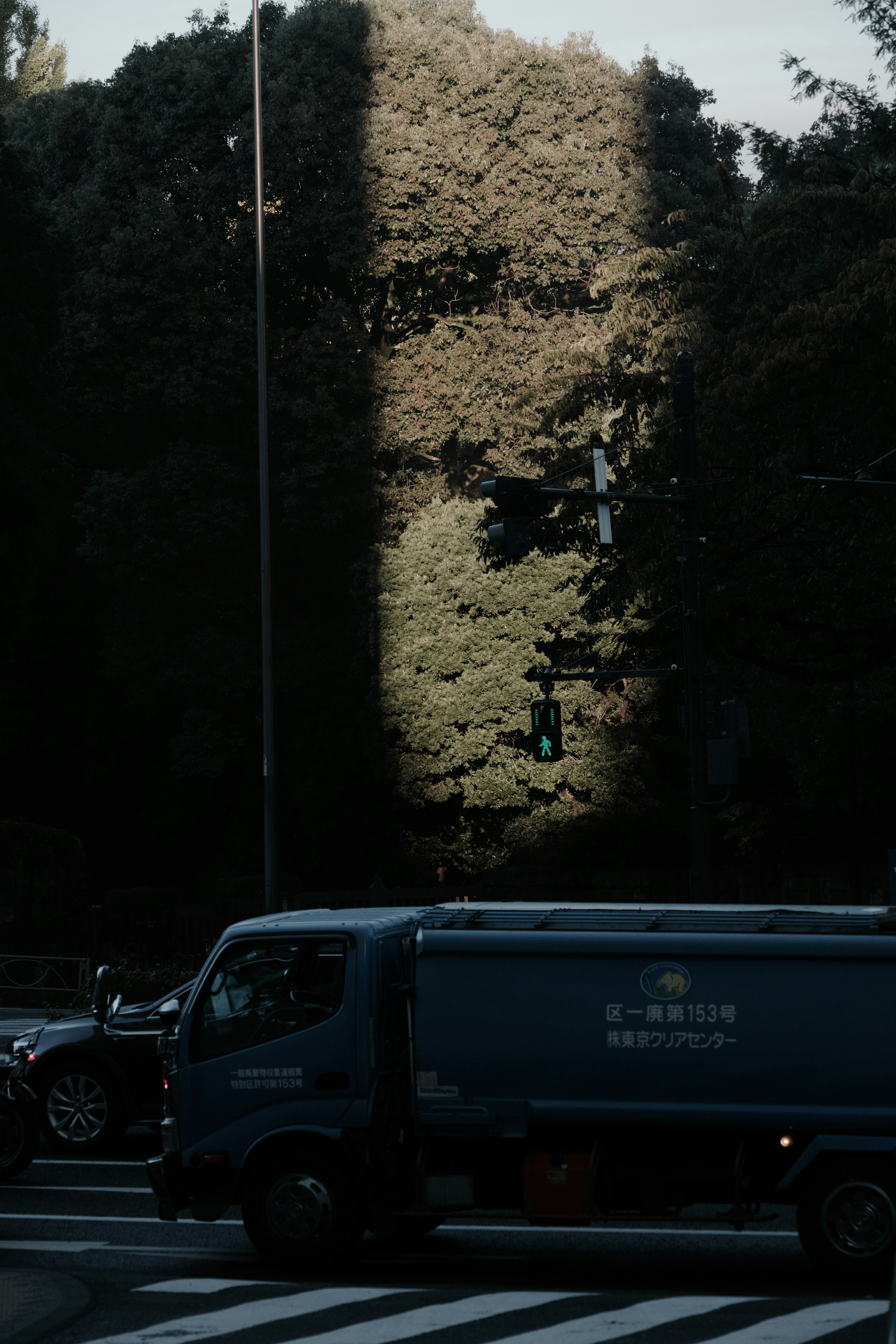 Urban scene with darkened trees and shadows a vehicle passing through a crosswalk