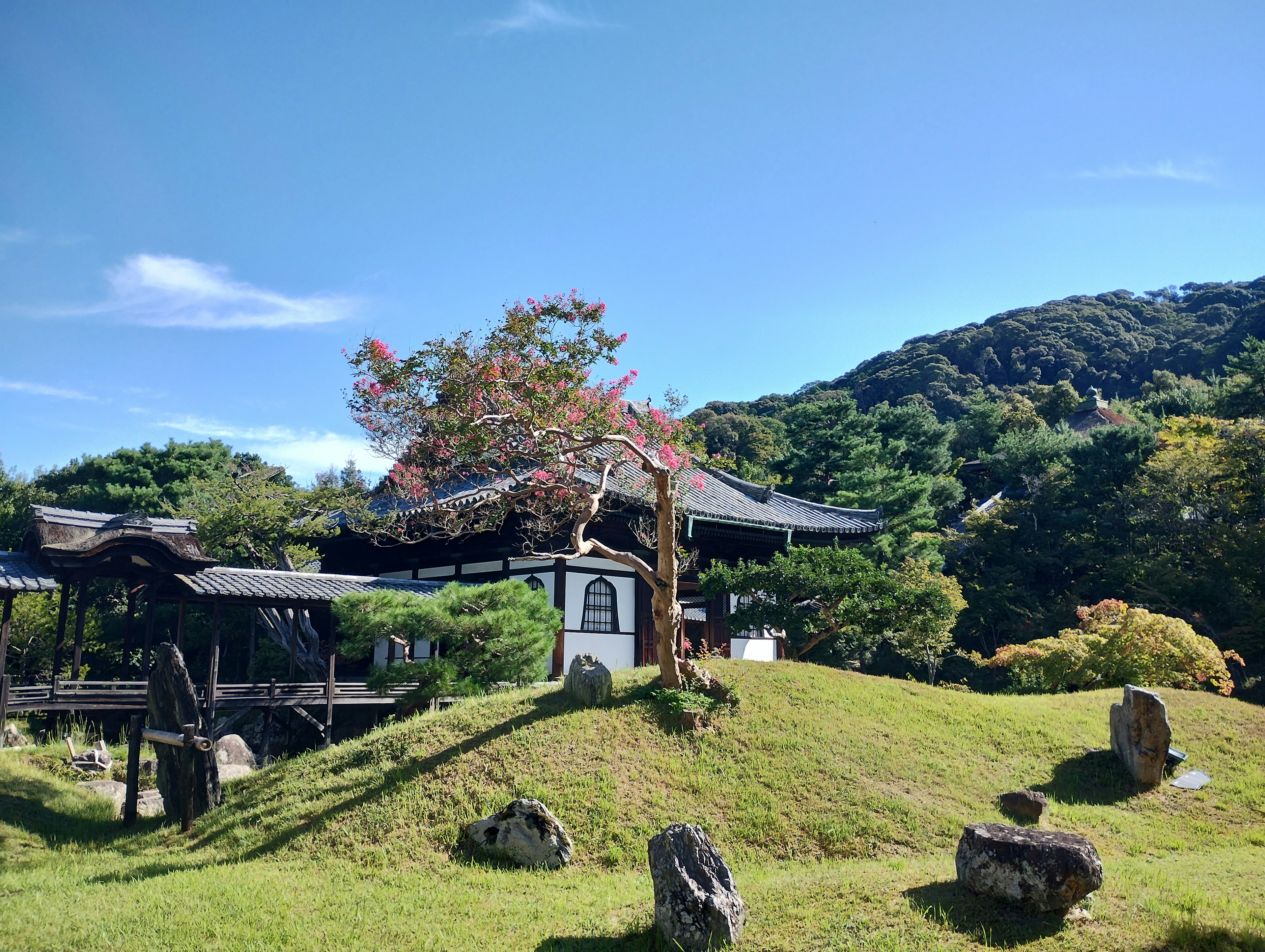 美丽花园中的传统日本房屋与郁郁葱葱的丘陵