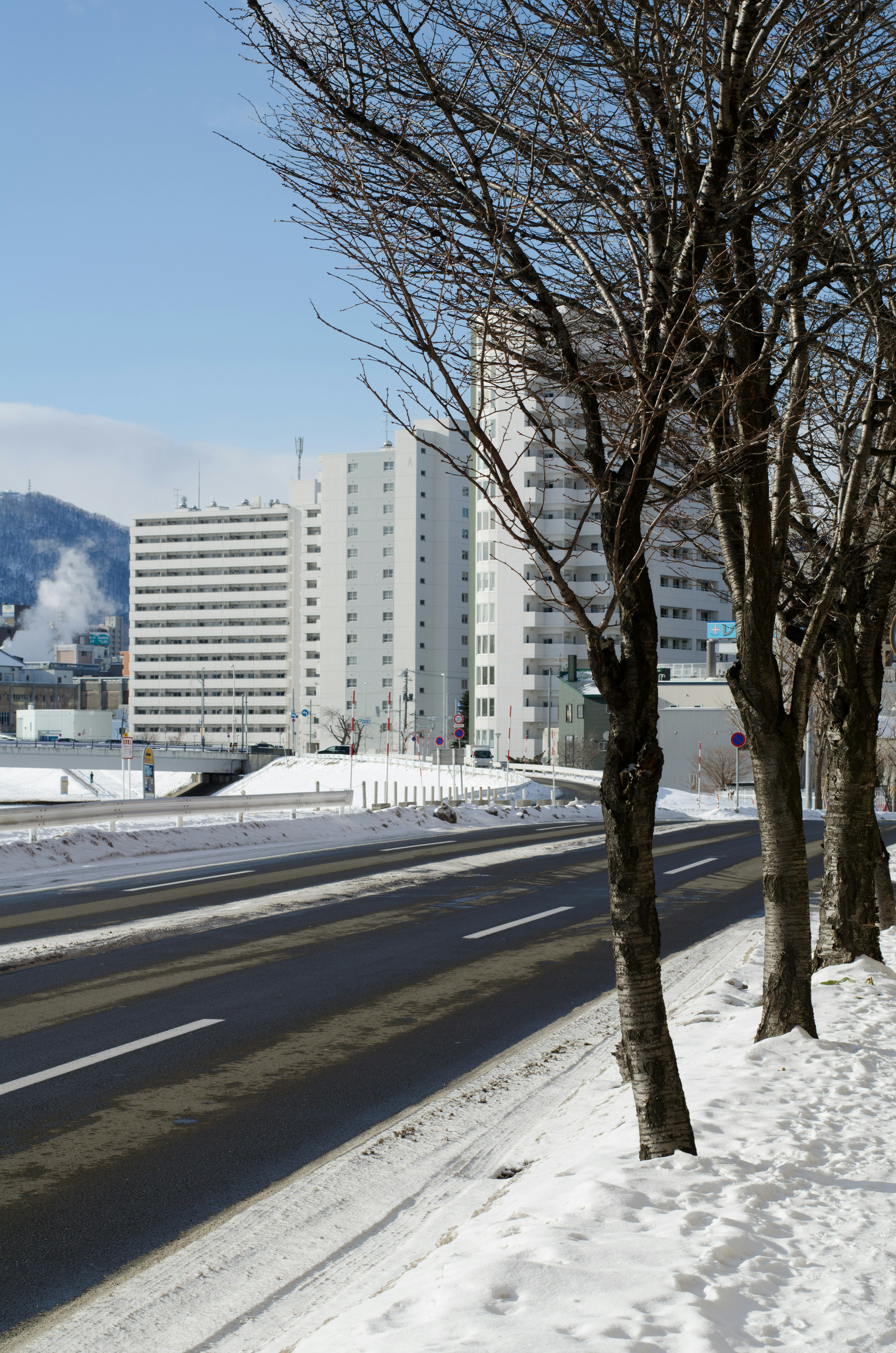 被雪覆盖的道路与冬季树木和建筑物背景