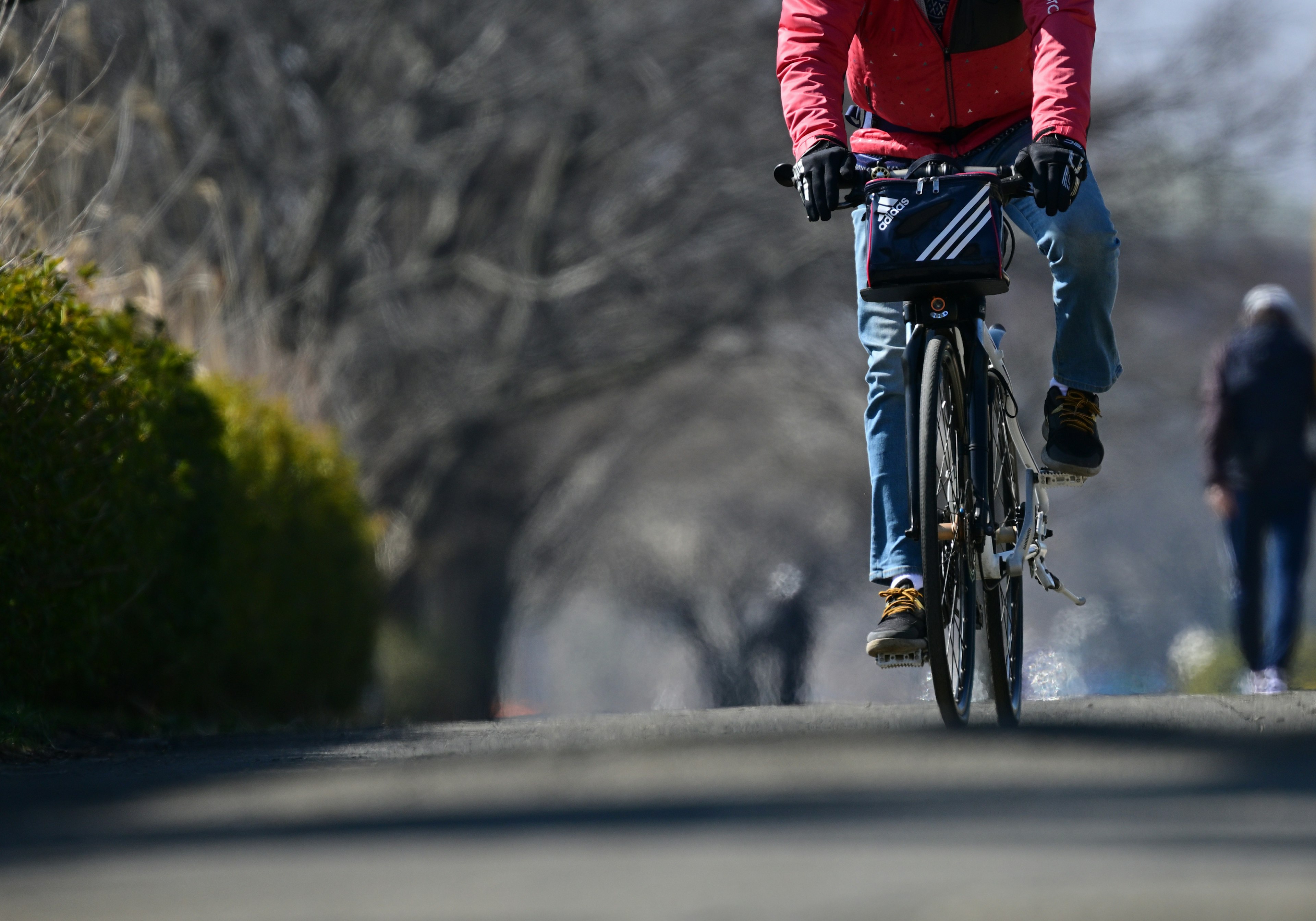 Person fährt Fahrrad auf einem Weg, umgeben von Bäumen