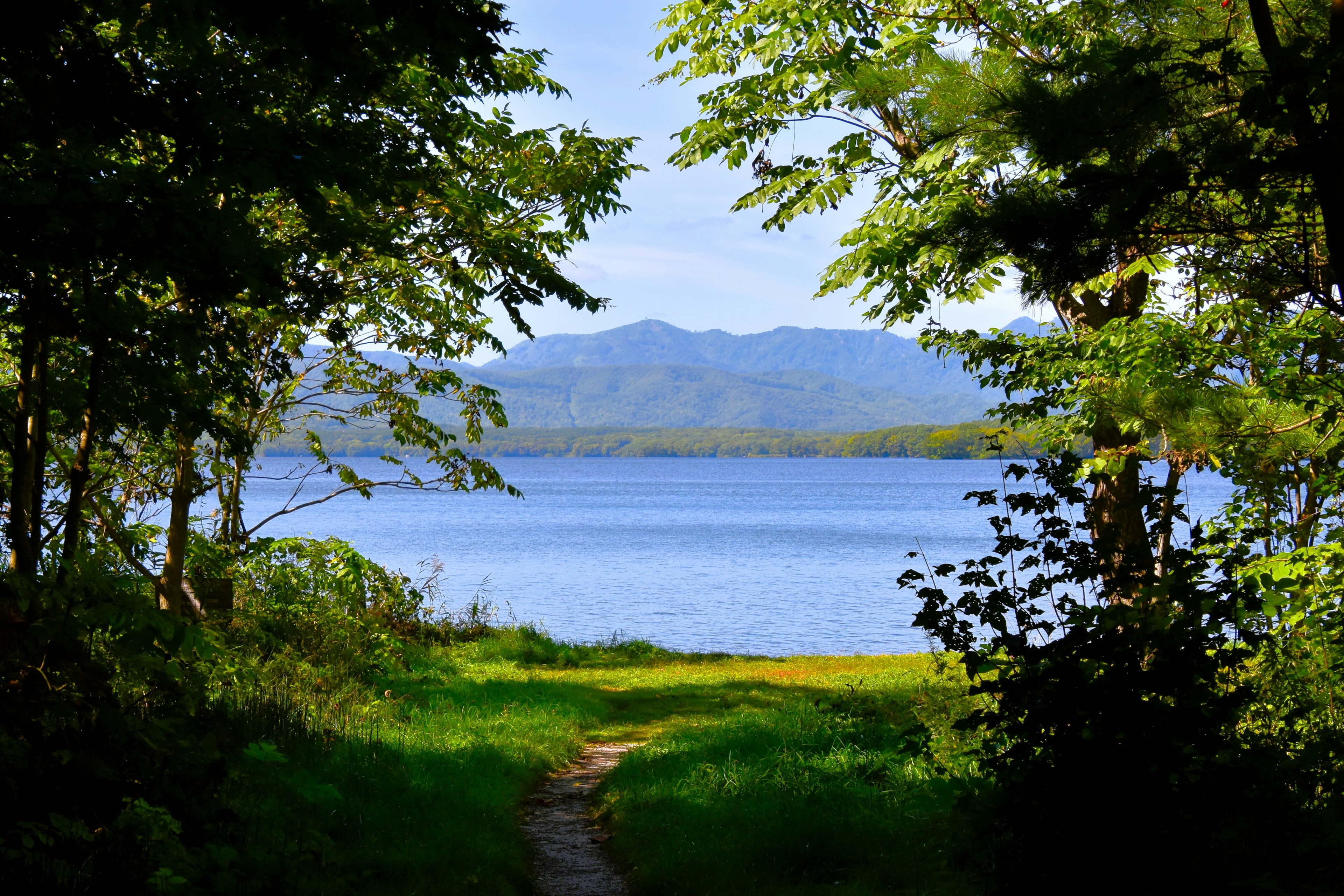 湖と山を望む緑豊かな小道の風景