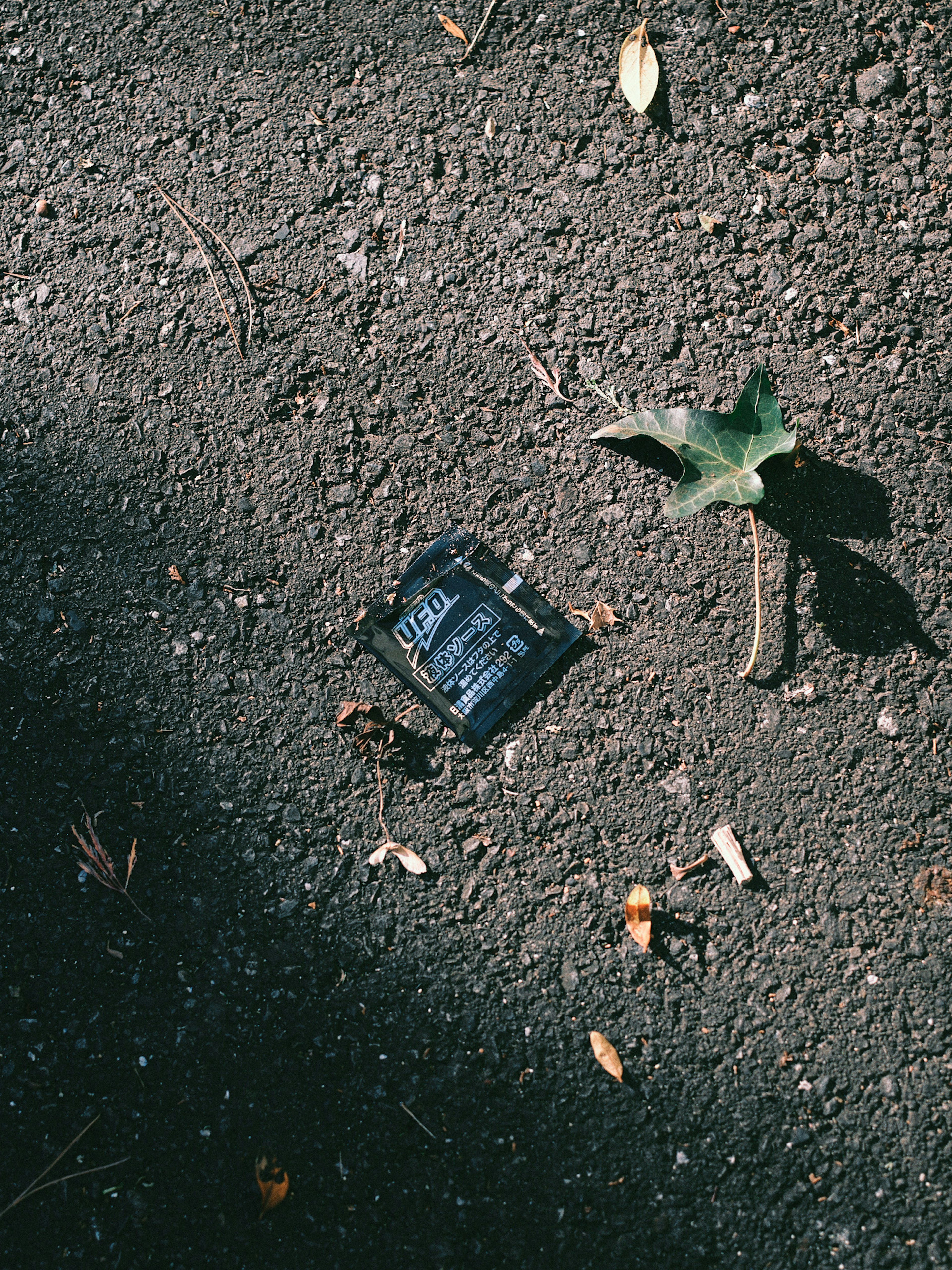 Black object on the ground with green leaf nearby