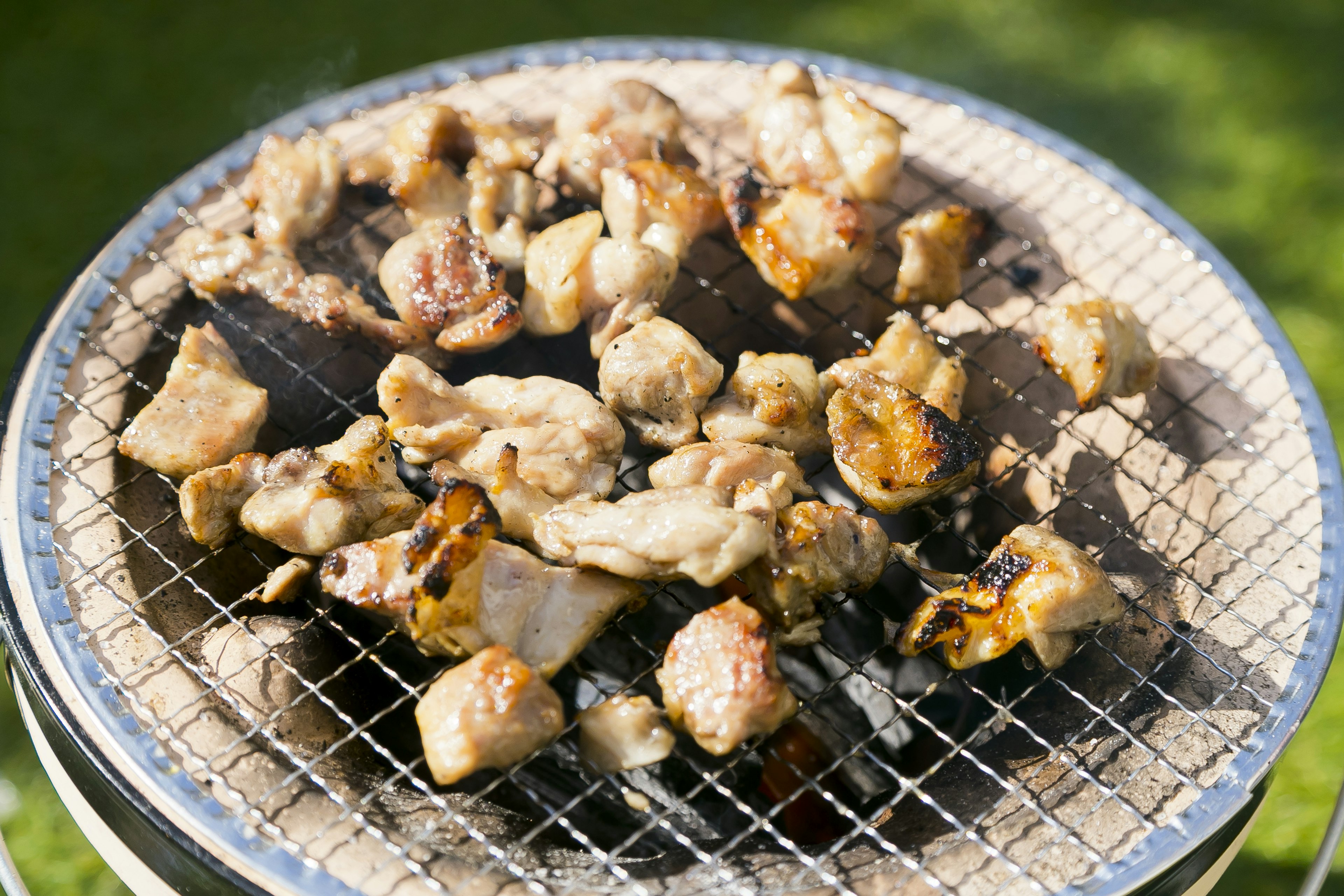 Grilled pieces of meat on a barbecue grill