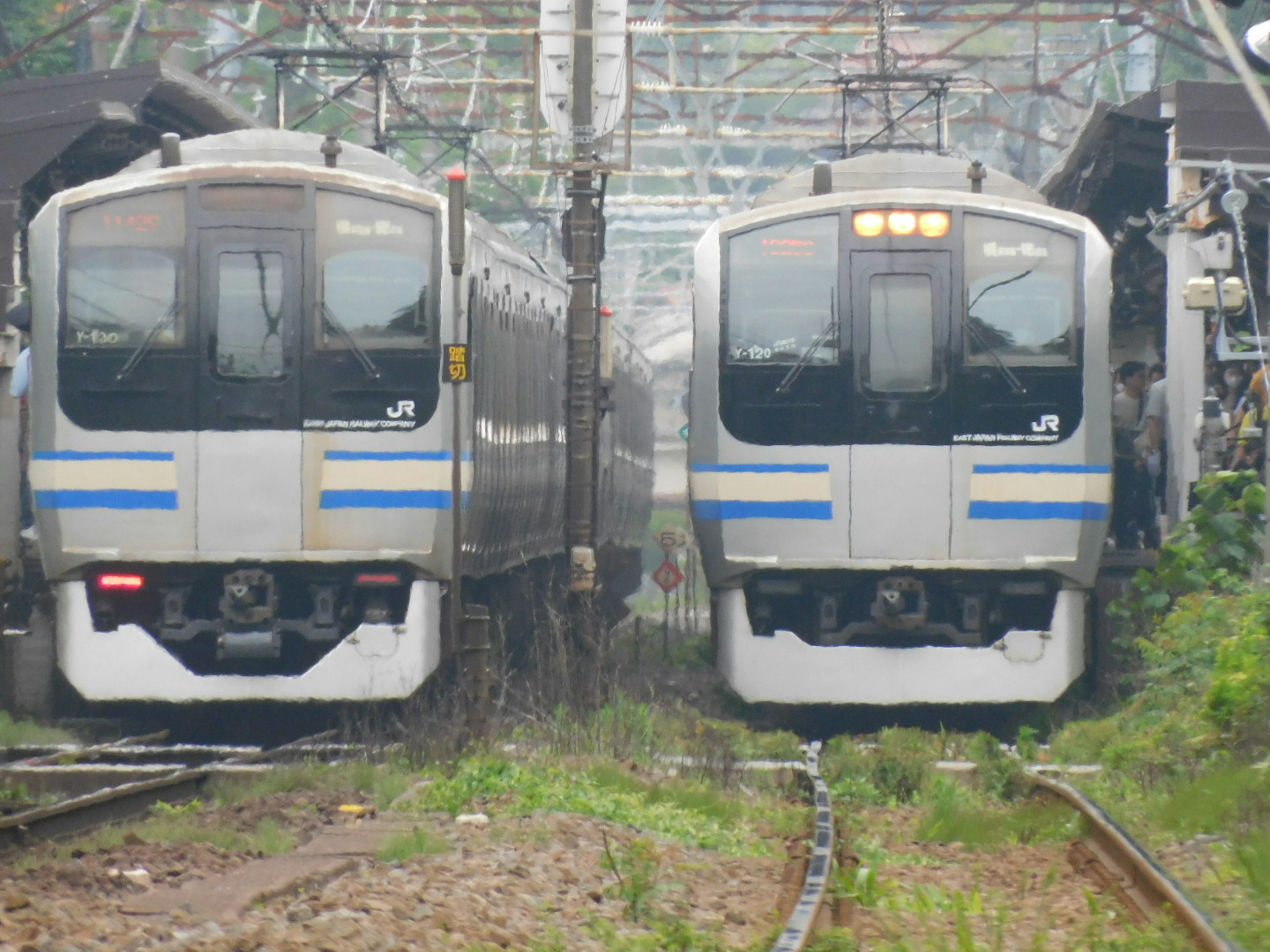 Scene of two trains crossing at a station visible green grass and tracks