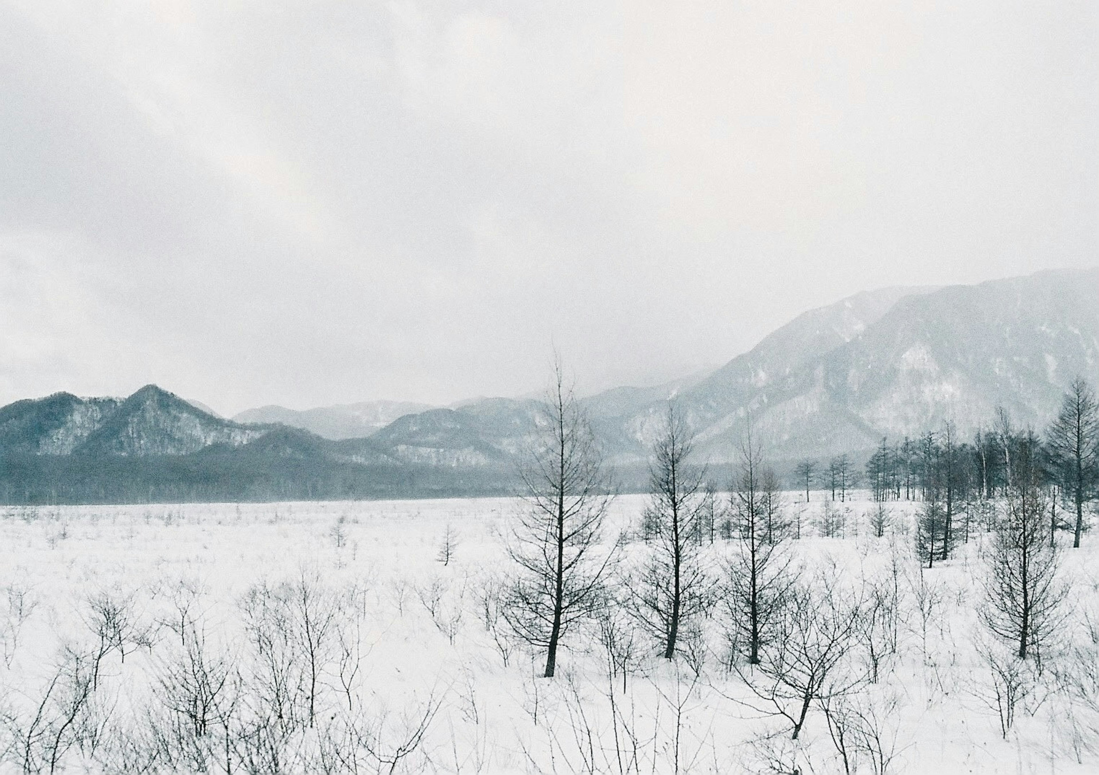 Serene winter landscape with snow-covered ground and distant mountains