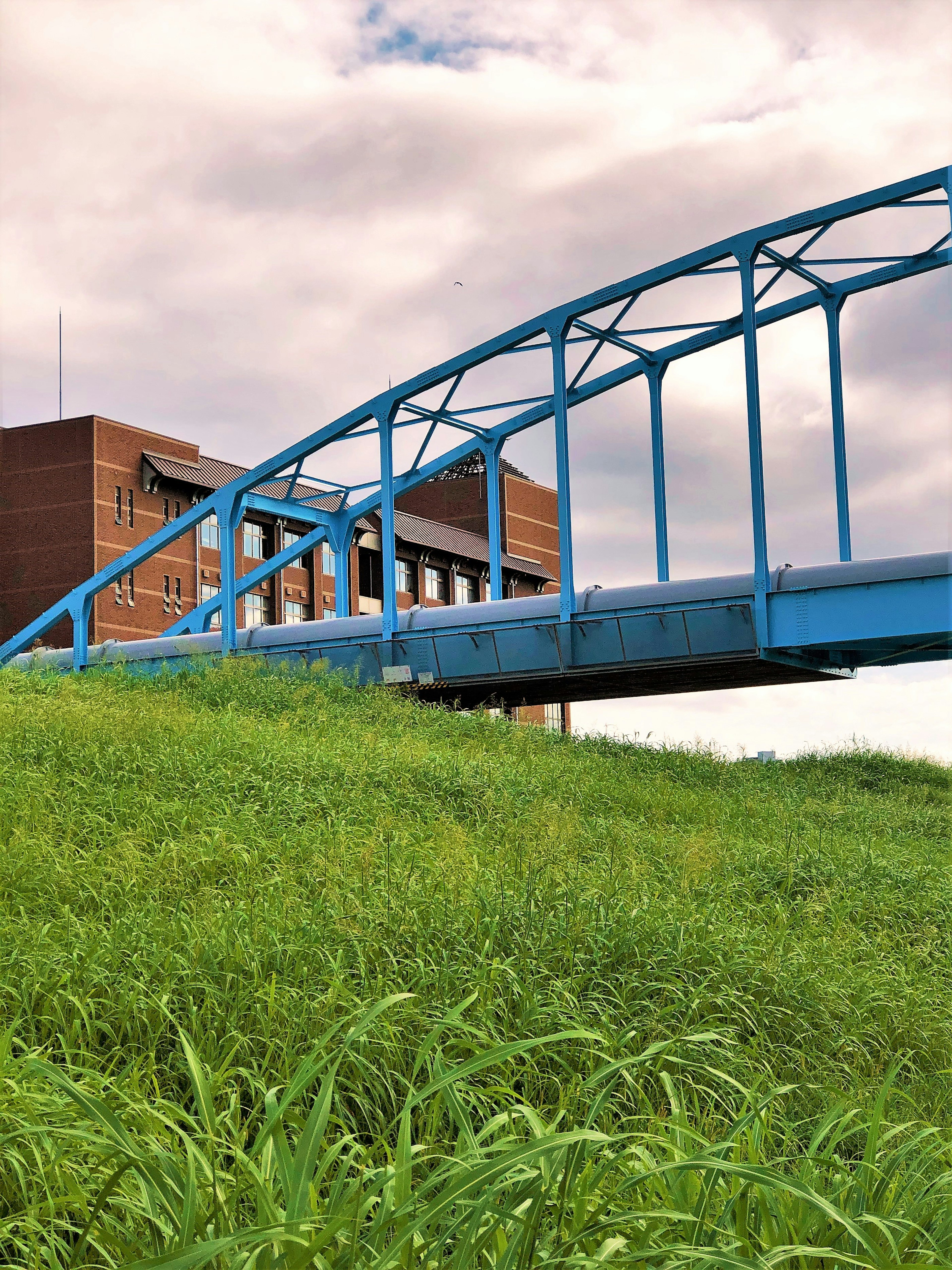 A blue bridge over a green grassy area with a building in the background