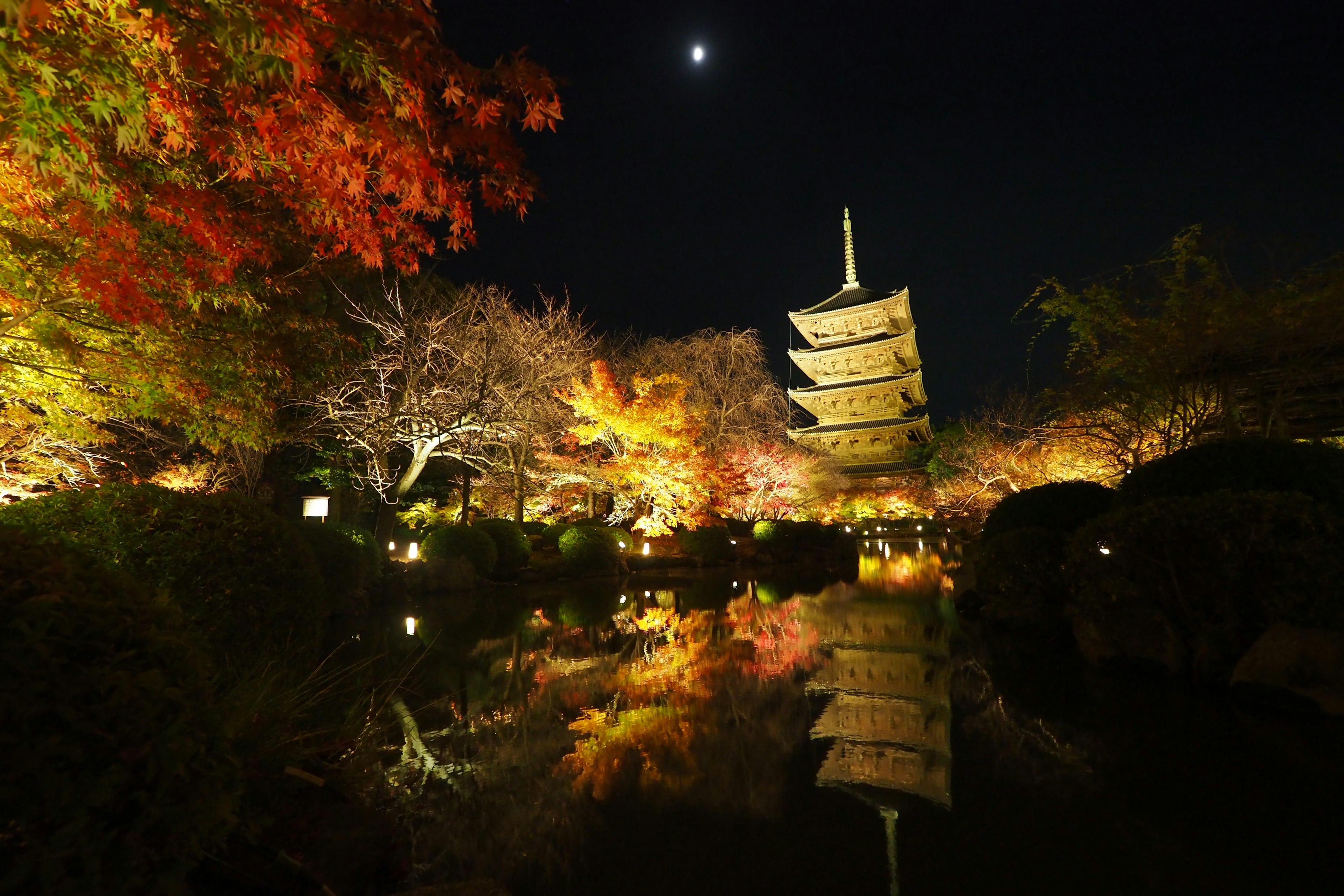 夜の庭園にある五重塔と紅葉の景色 月明かりが反射する池