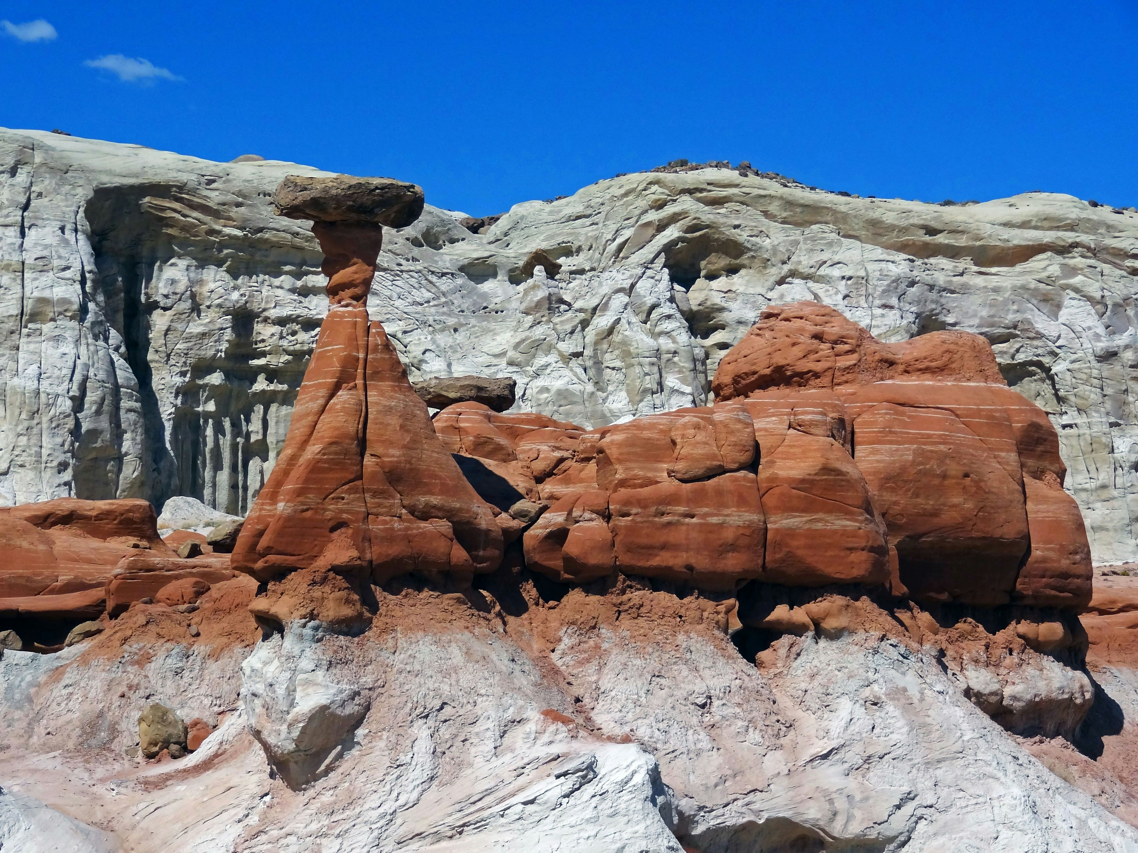 Landscape featuring red rock formations and white layered cliffs