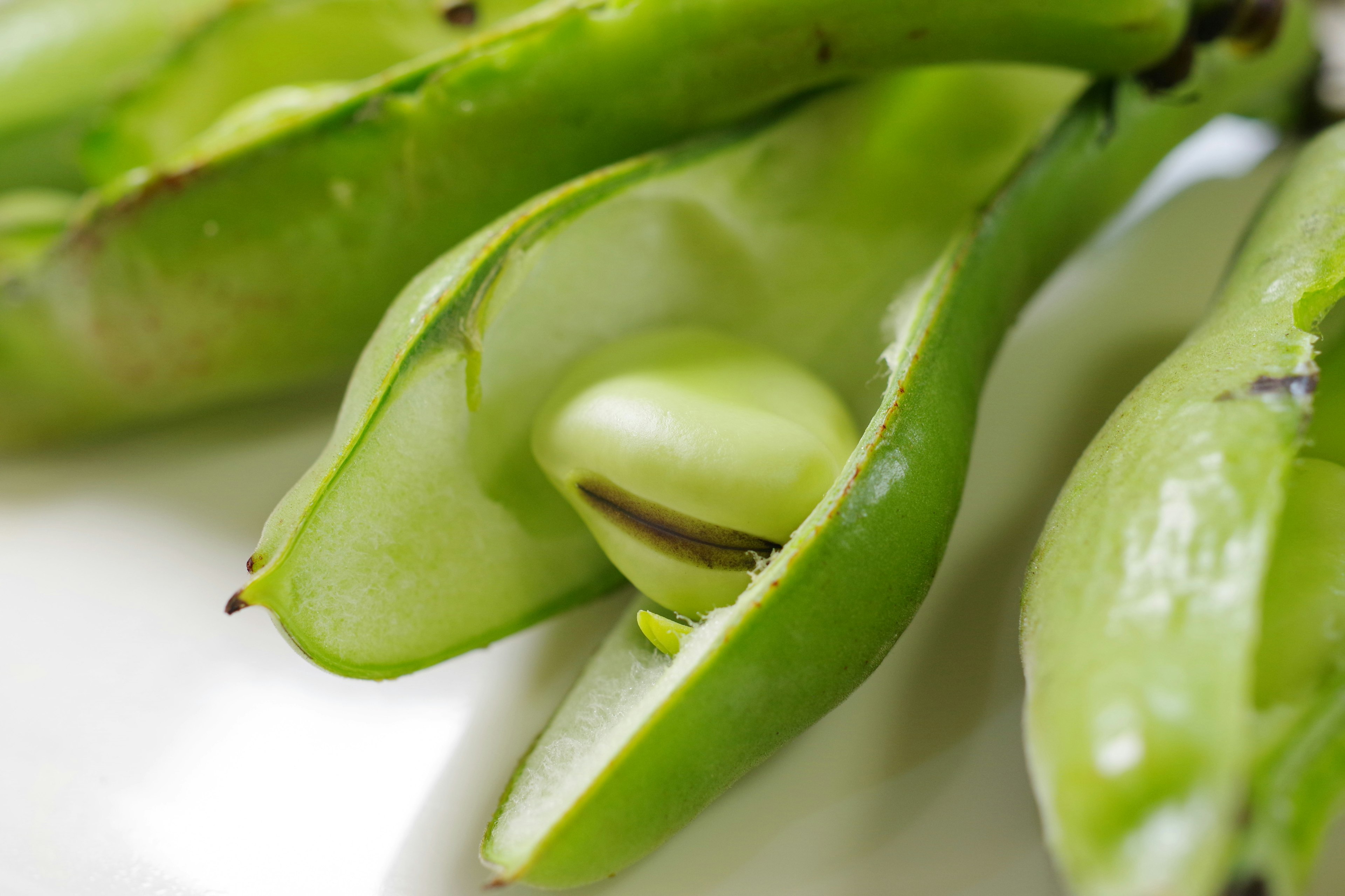 Open green bean pod revealing a single bean inside