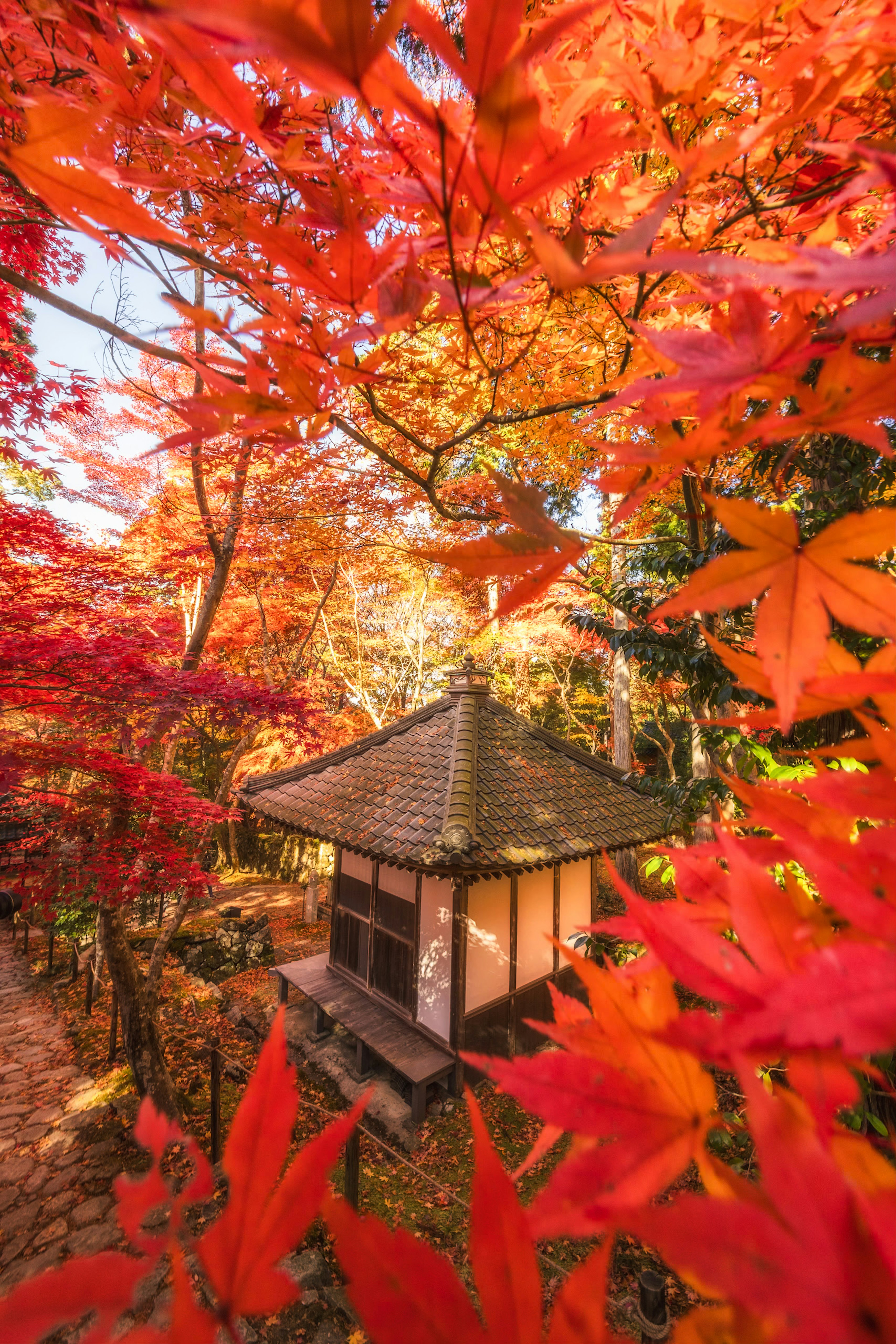 Maison de thé japonaise traditionnelle entourée de feuillage d'automne