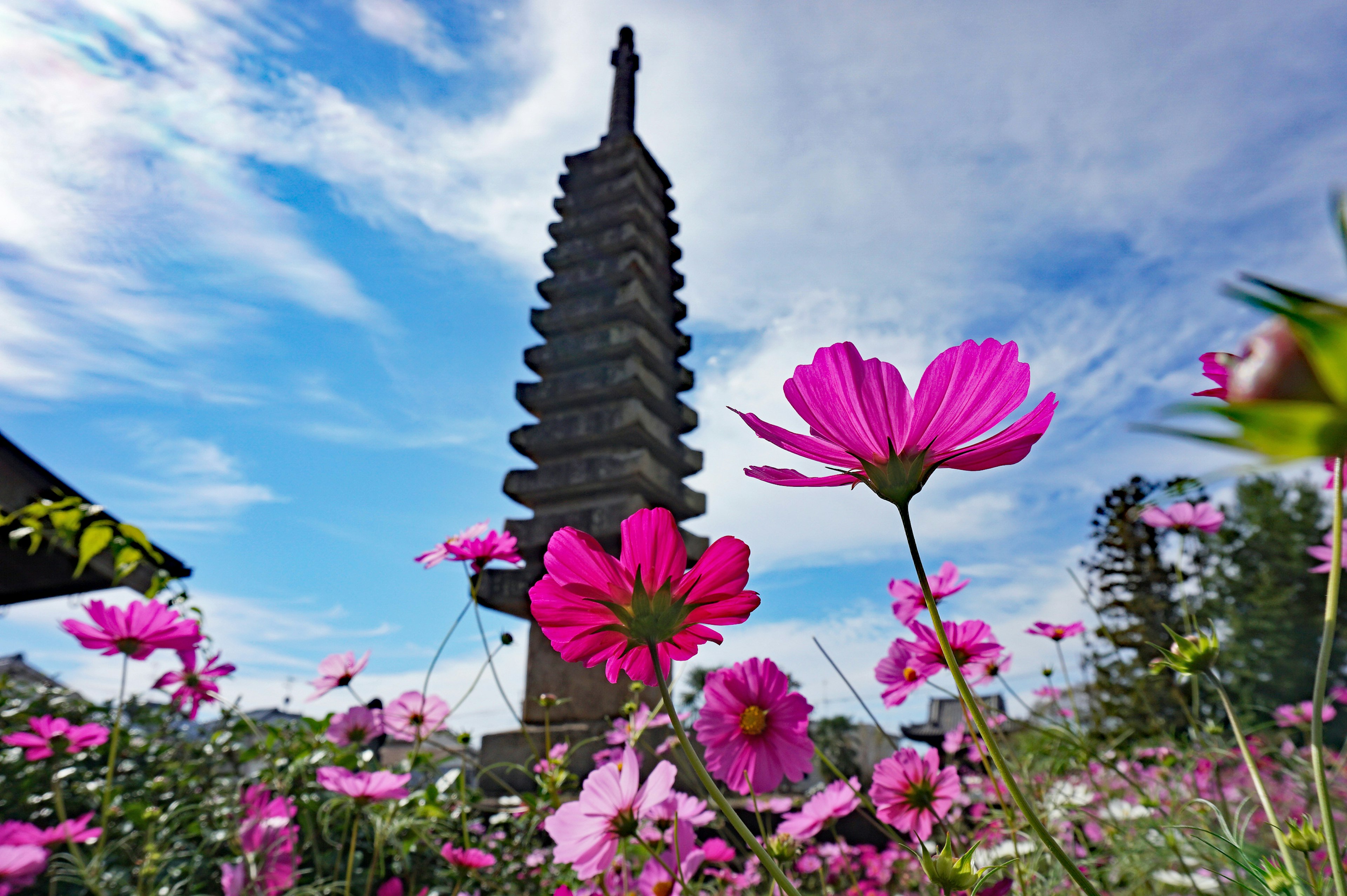 Menara tinggi dengan bunga berwarna-warni di latar depan