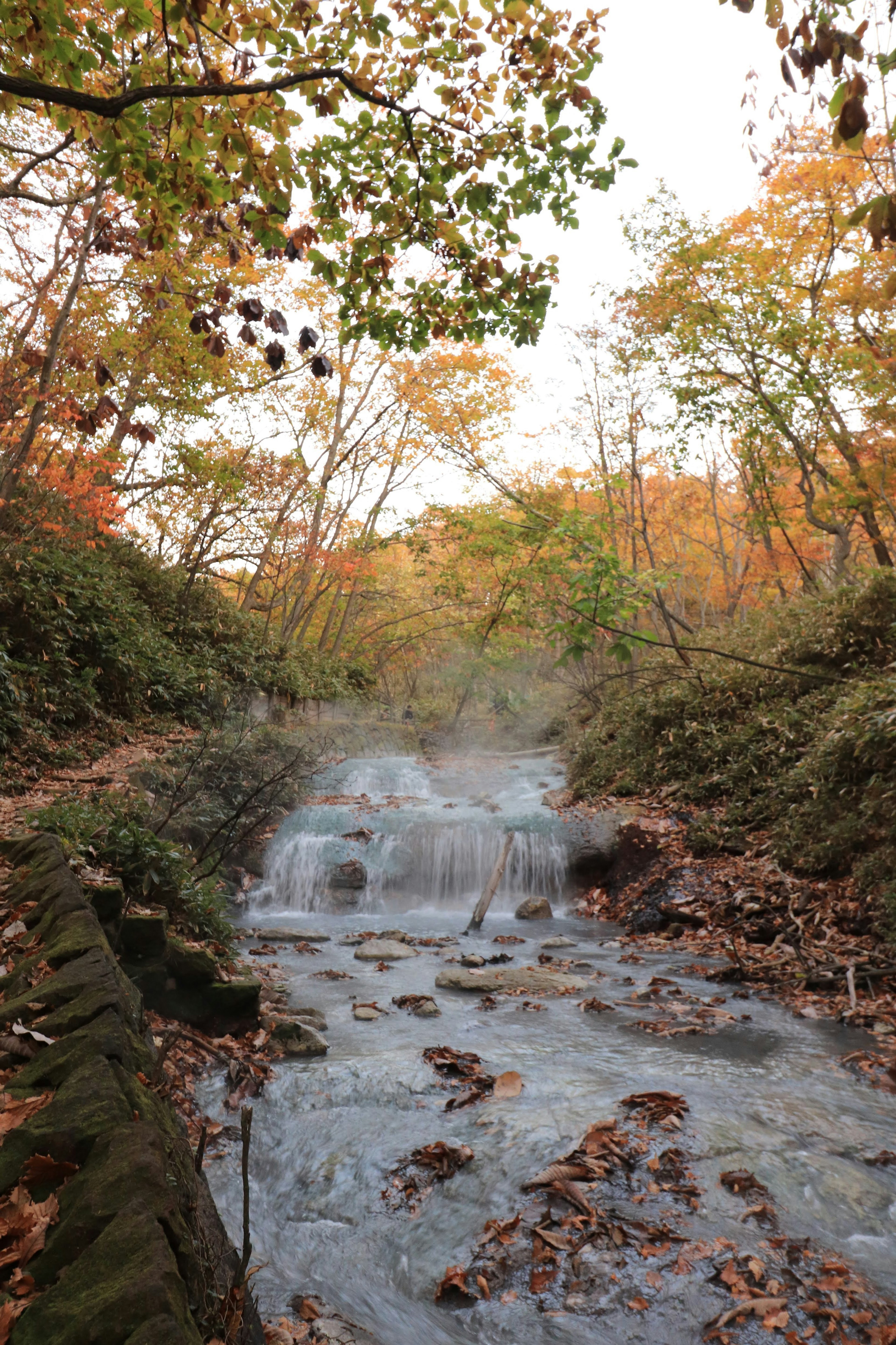 Ein kleiner Bach umgeben von Herbstblättern und Dampf