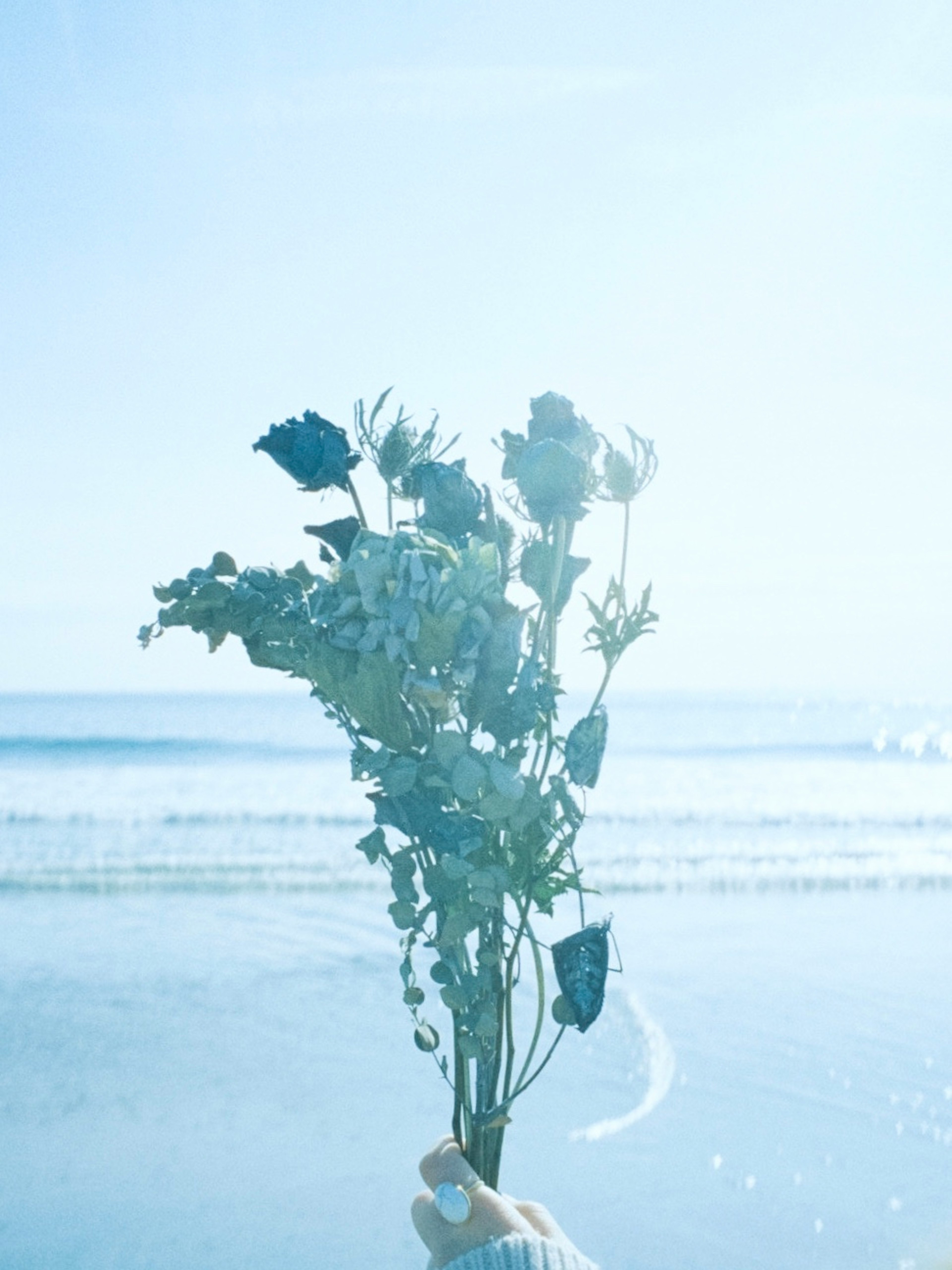 海辺で花束を持つ手の写真青い空と水面が背景にある