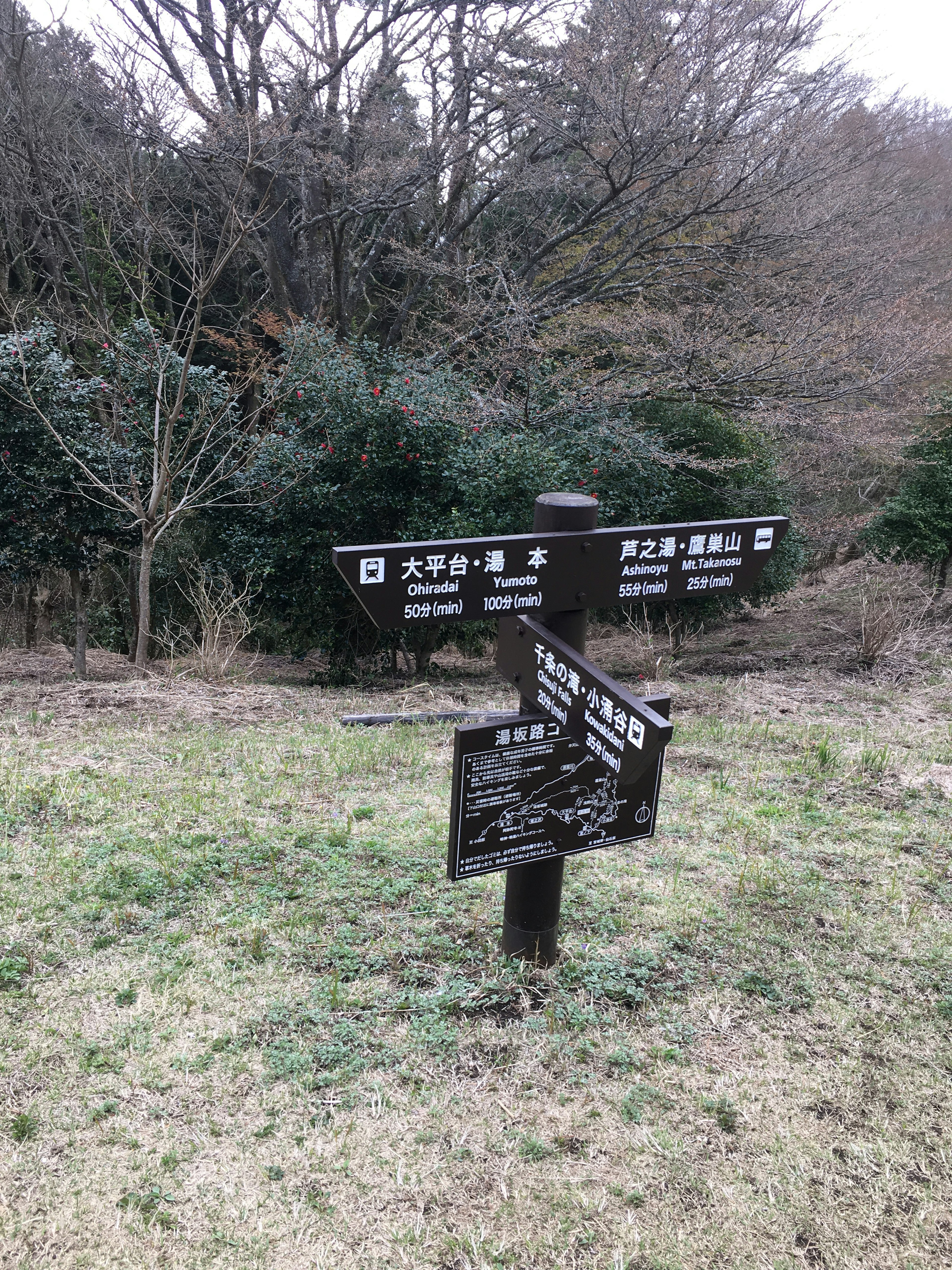 Un panneau noir indiquant plusieurs directions dans une zone herbeuse