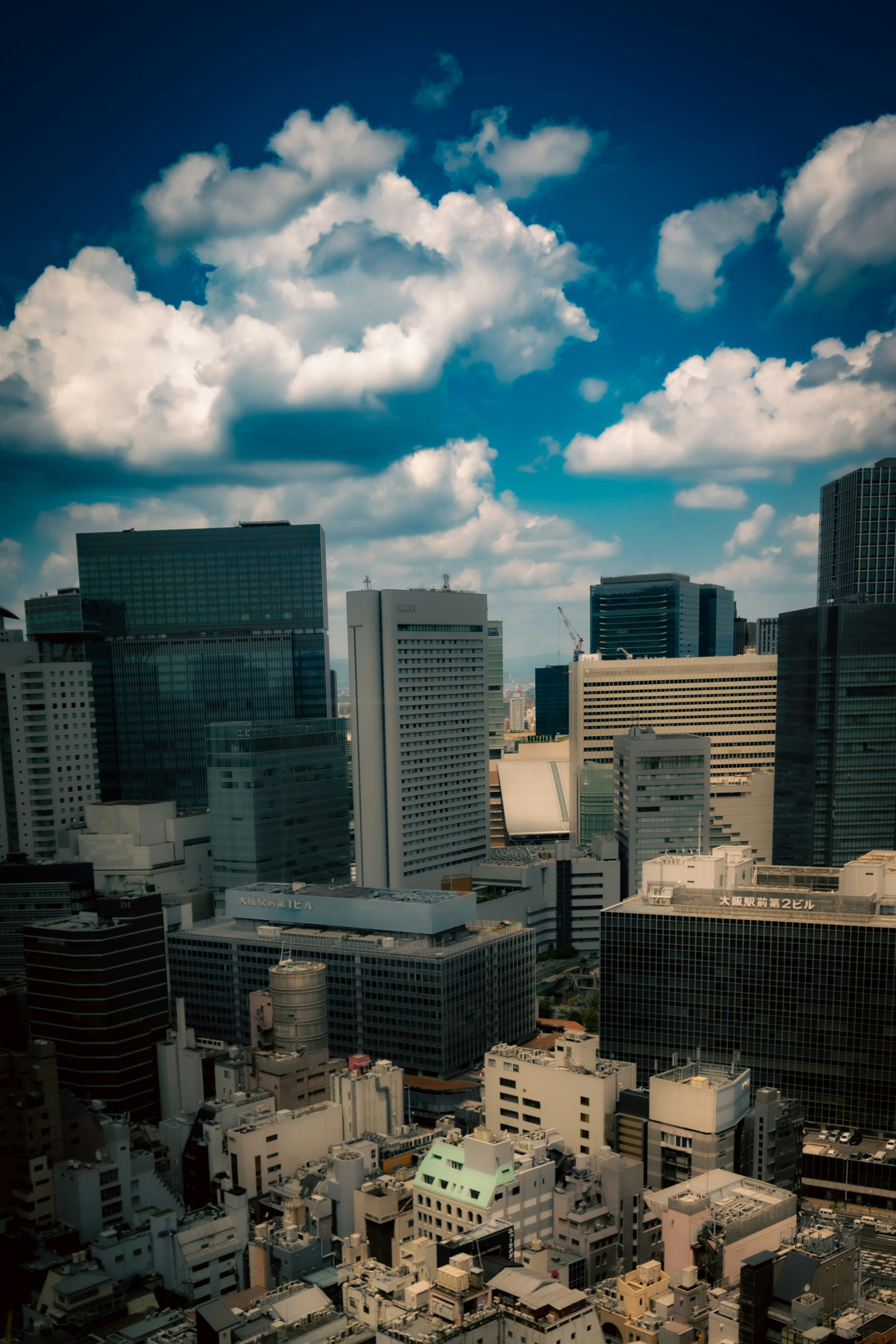 高層ビルが立ち並ぶ都市景観と青空に白い雲