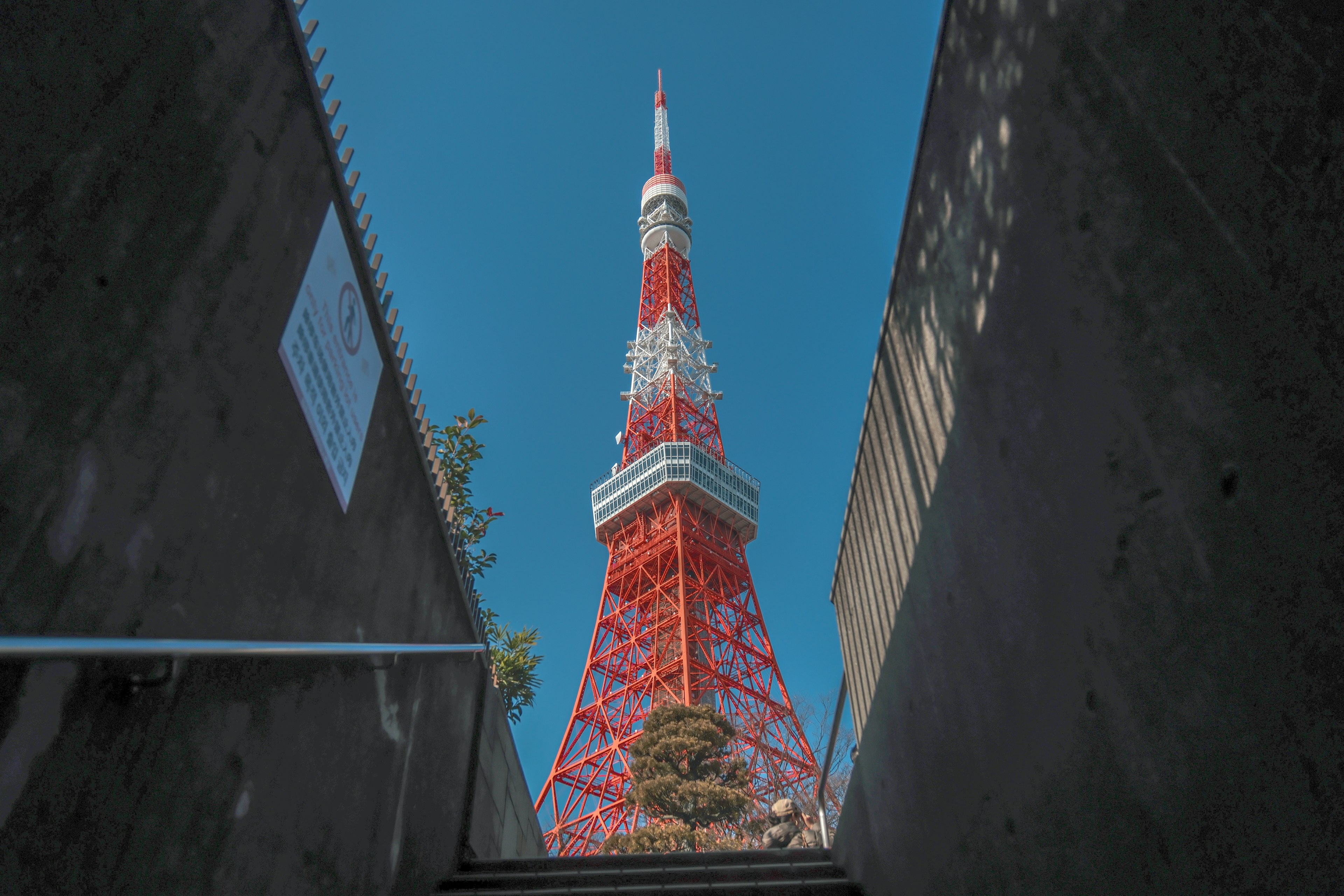 東京タワーの赤と白の構造が青空の下で際立つ