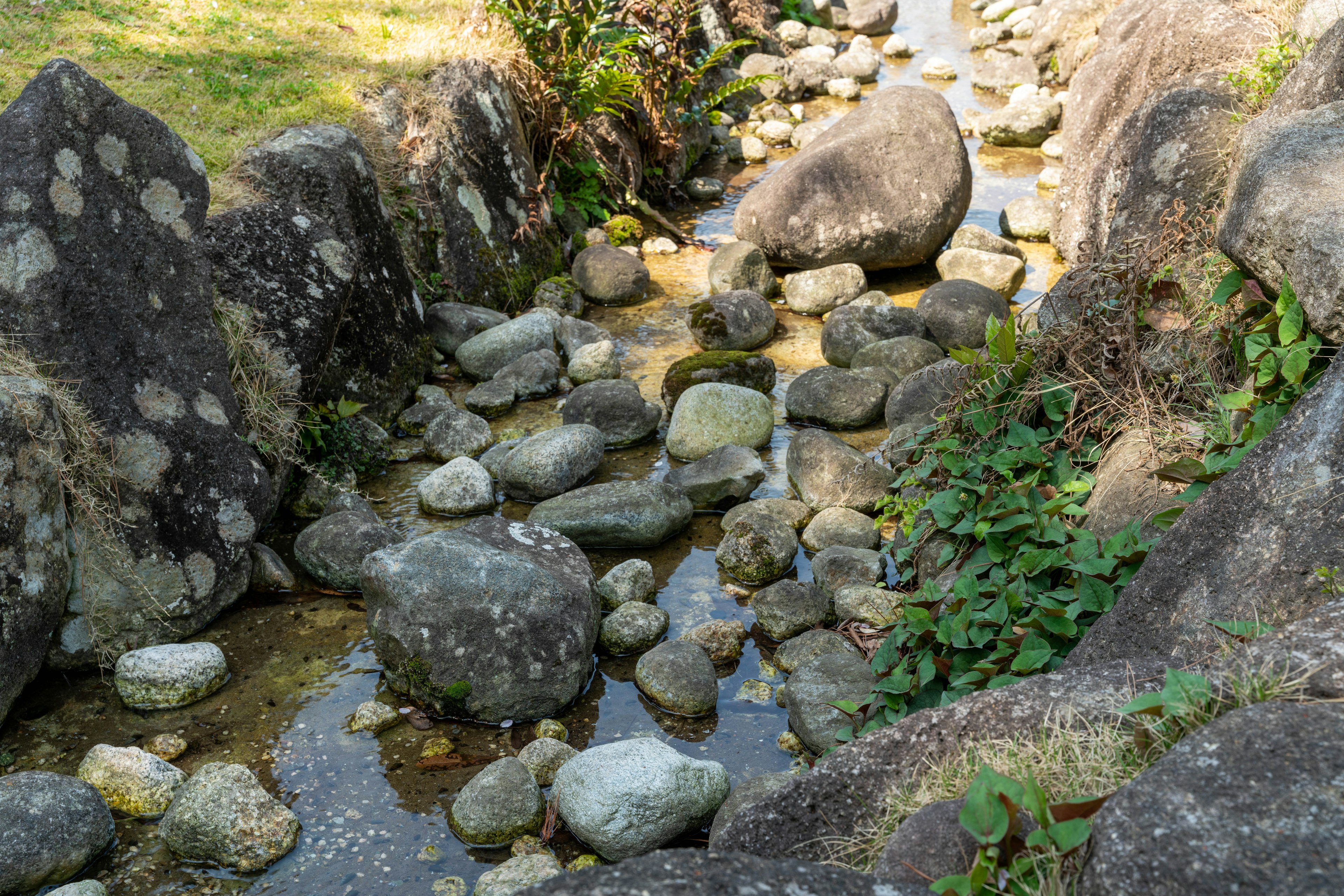 Scenic view of a stream lined with rocks and greenery