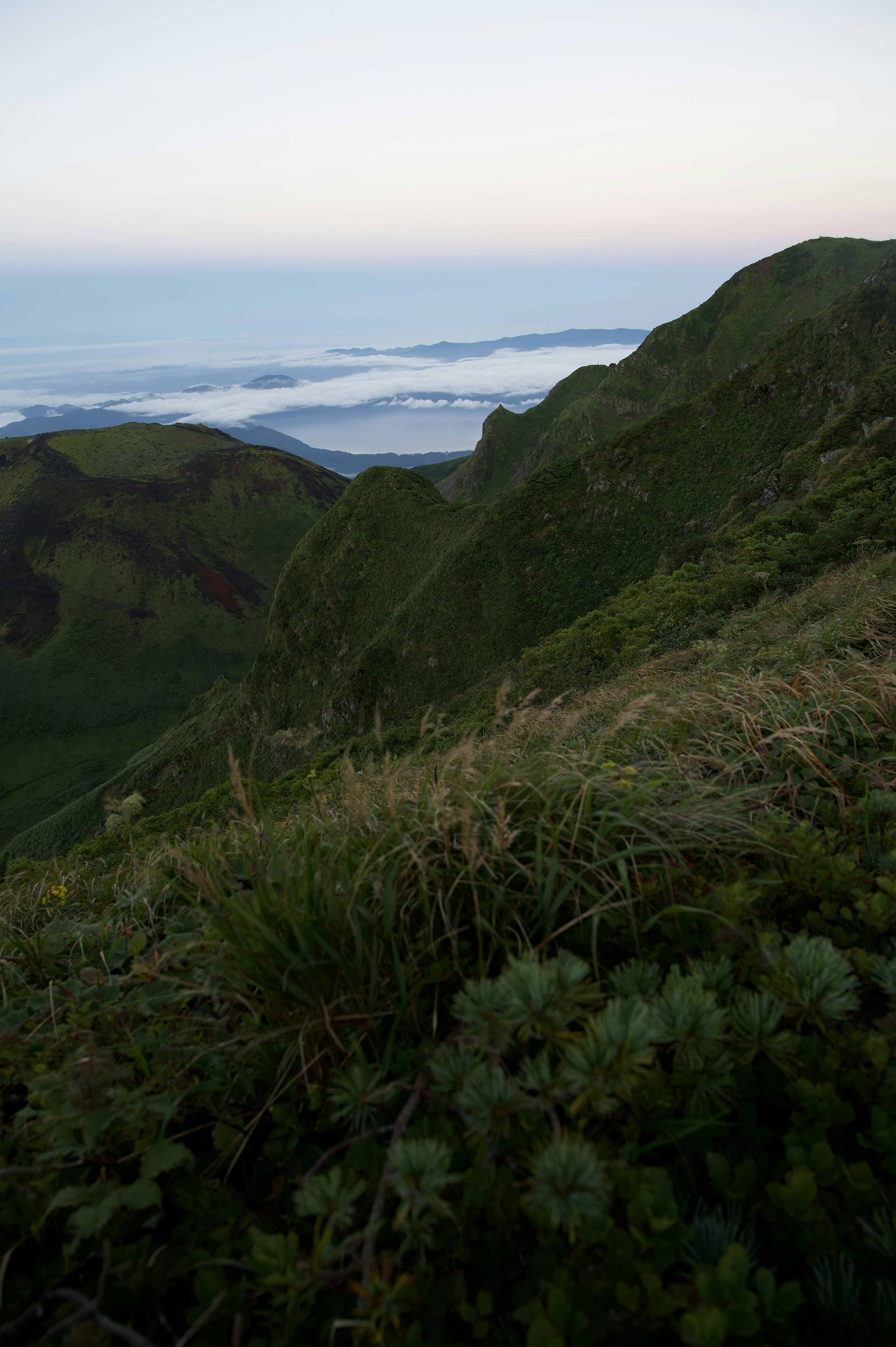 Pente de montagne verdoyante avec une mer de nuages au loin