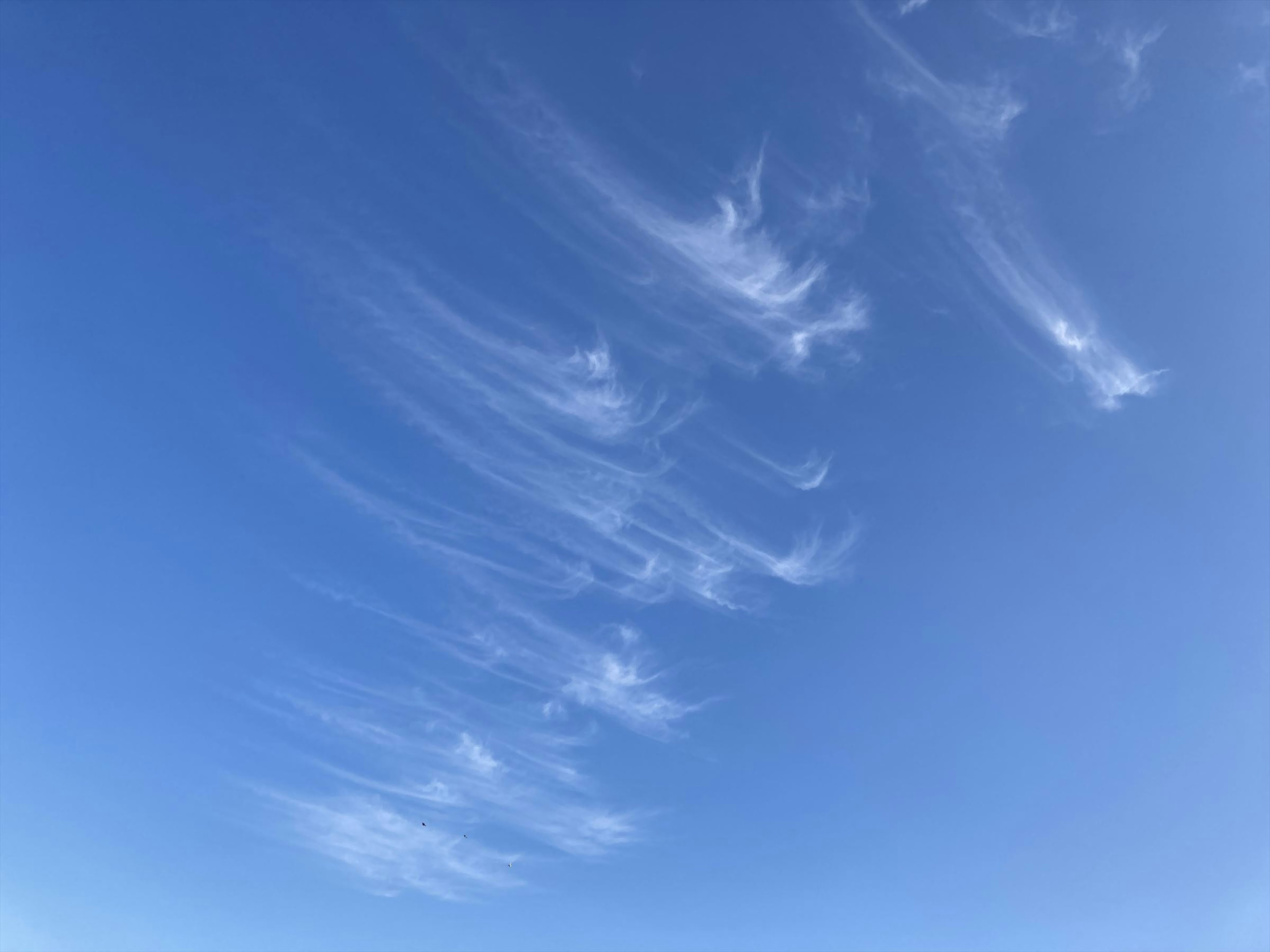 青空に浮かぶ薄い雲の筋