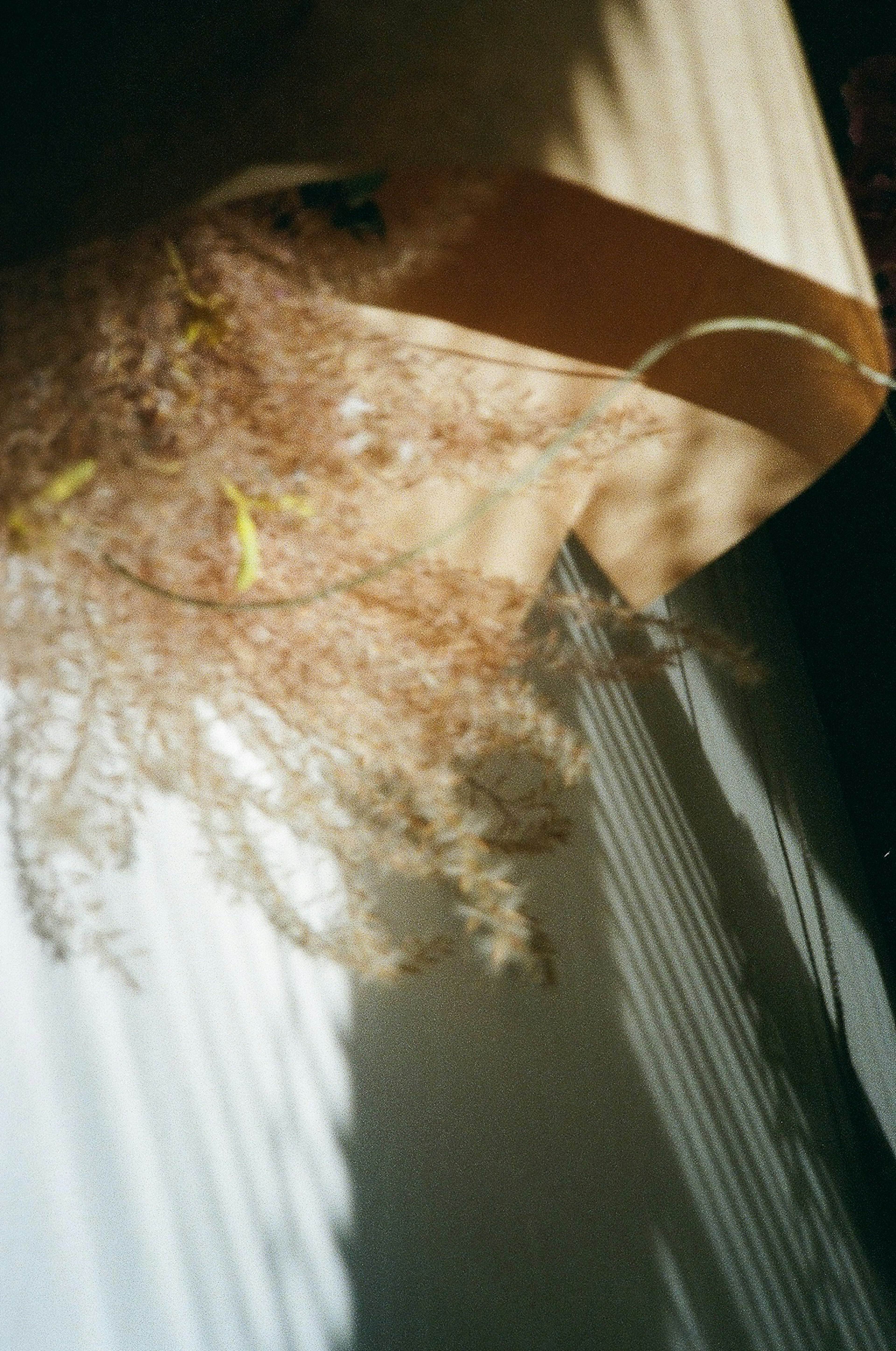 Brown box with dried flowers in a sunlit room