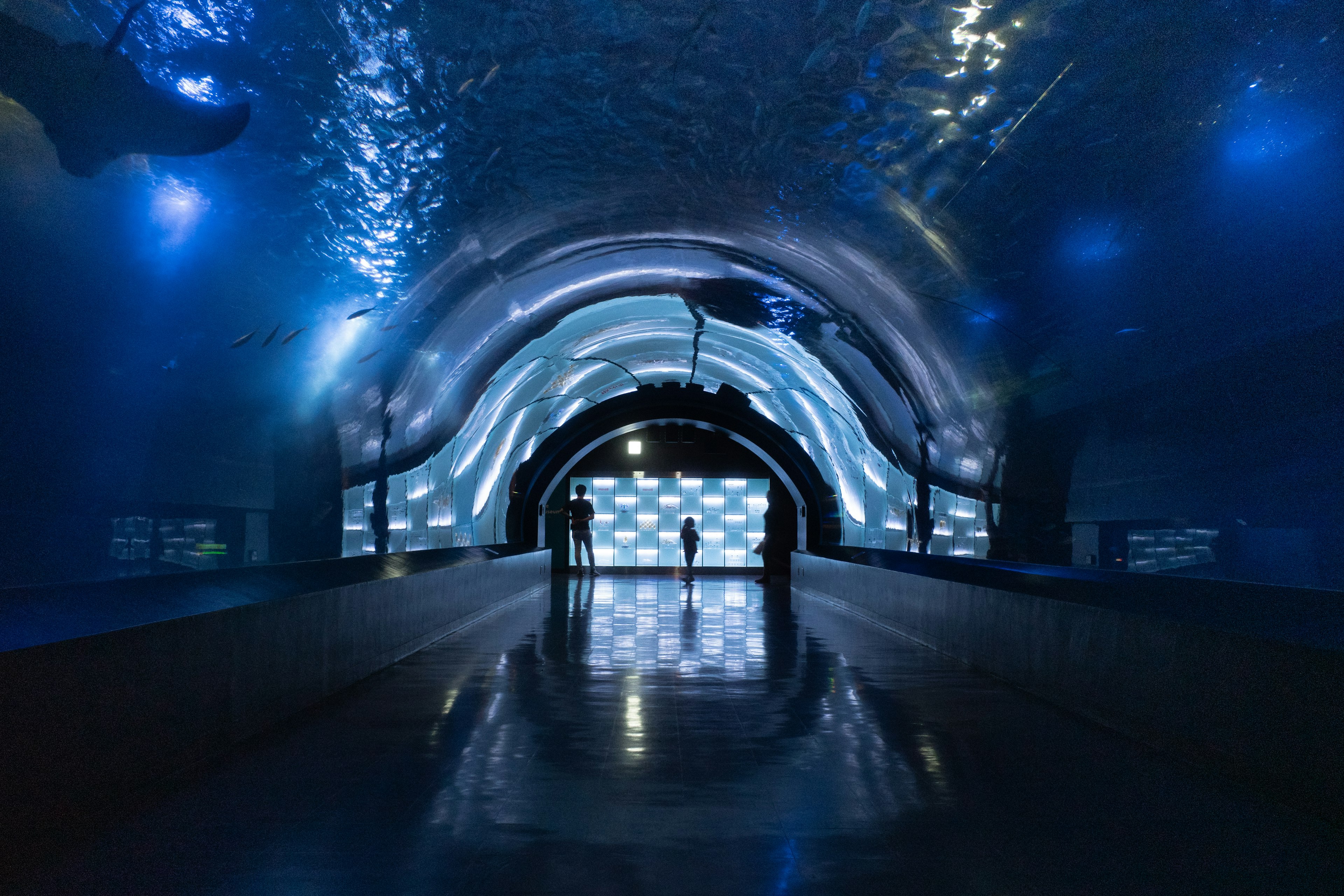 Underwater tunnel with blue lighting and wavy walls