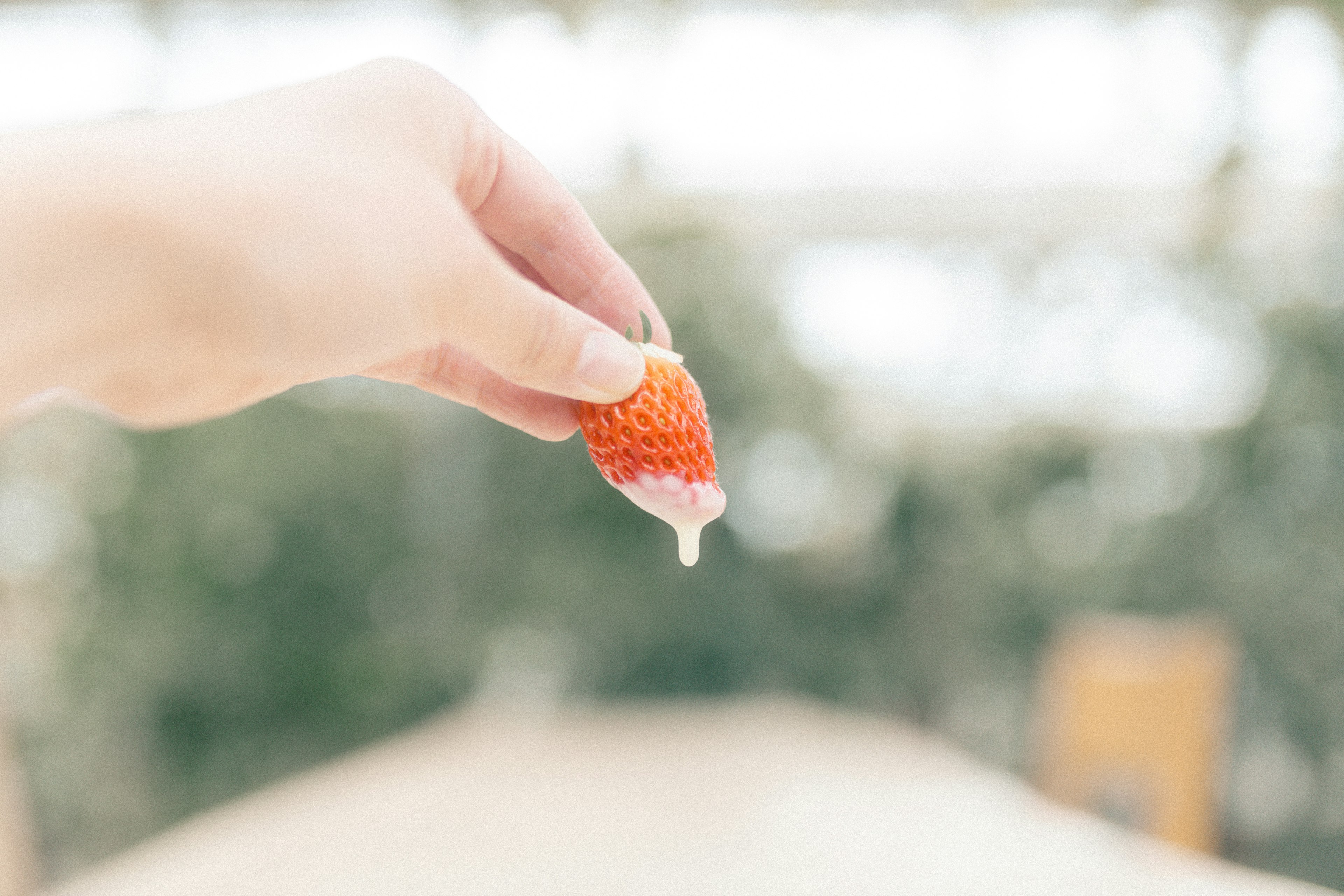 A hand holding a strawberry dripping with white cream