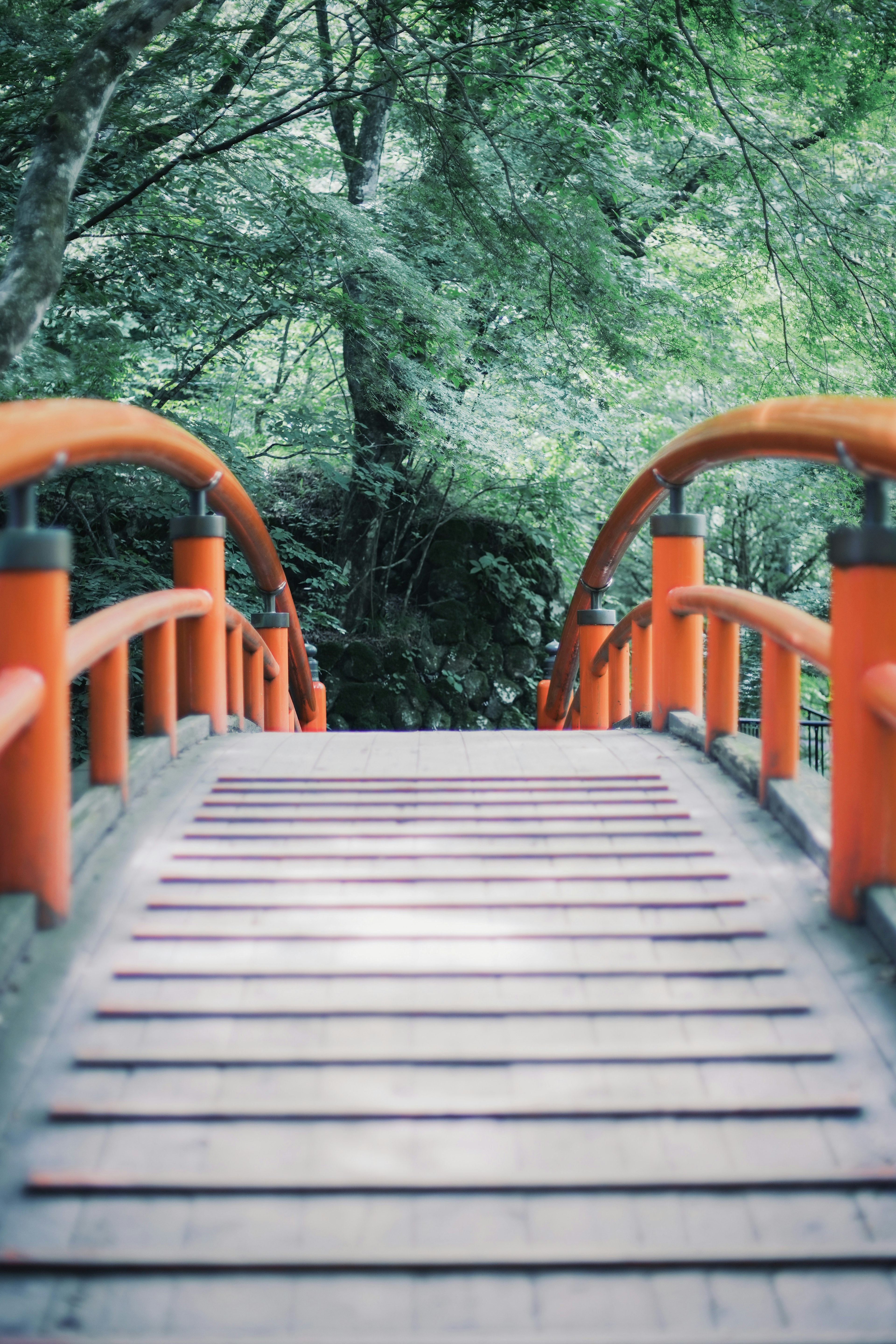 View from a wooden bridge with orange railings surrounded by lush green trees