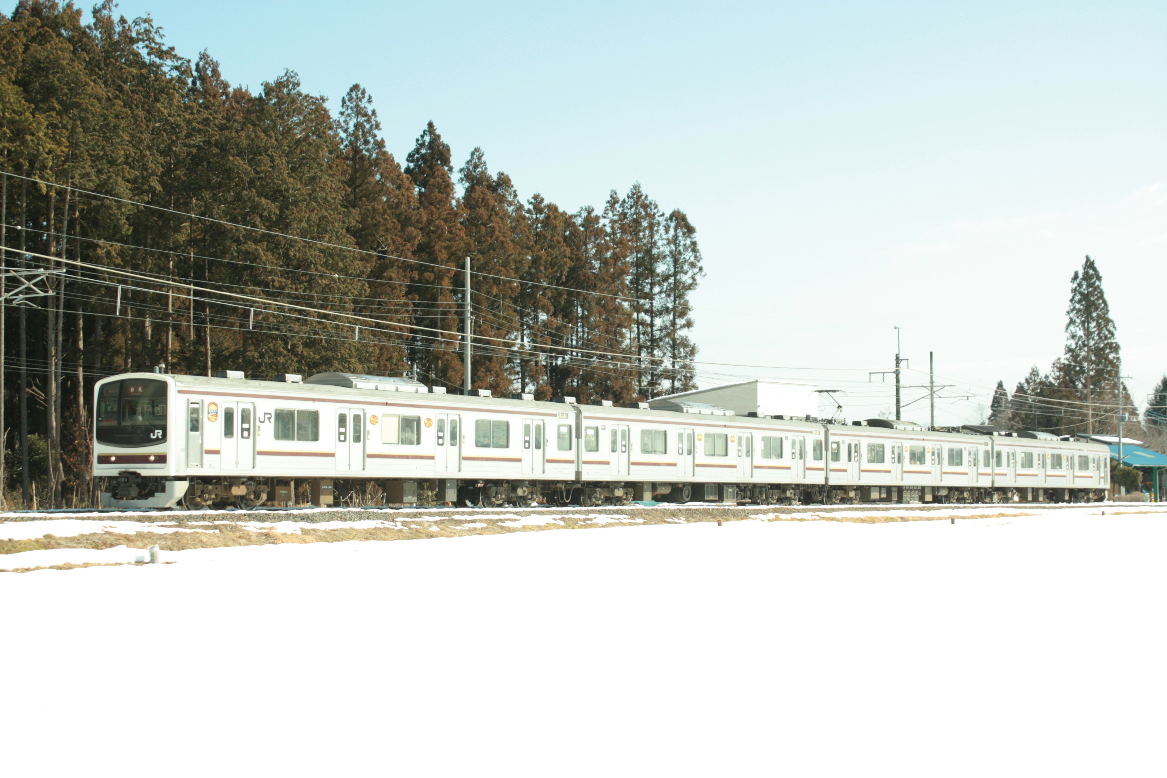 Un treno bianco che viaggia attraverso un paesaggio innevato con alberi