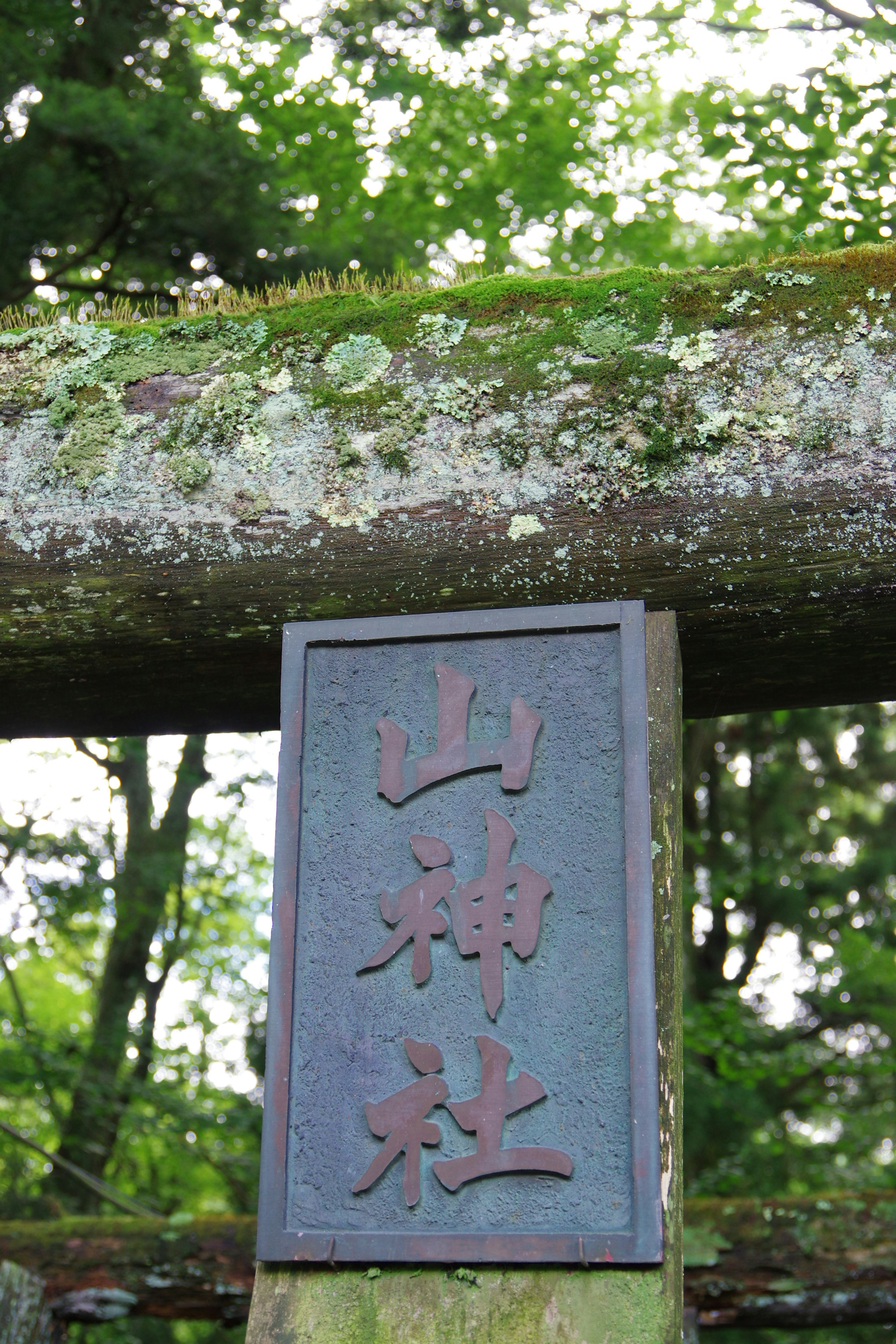 Una targa di Yamajinja attaccata a un torii in legno con uno sfondo verdeggiante