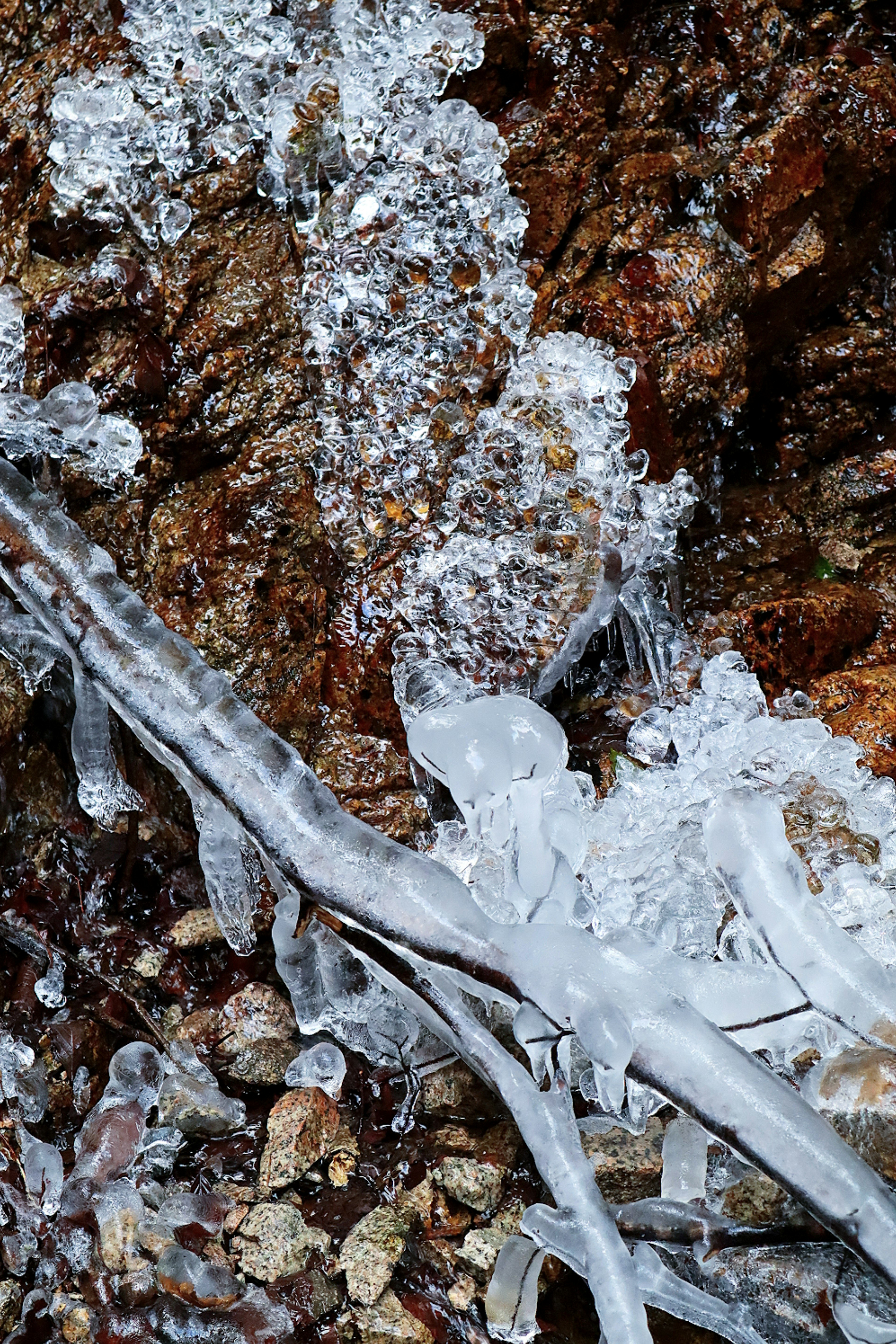 Close-up of ice formations on rocks and driftwood