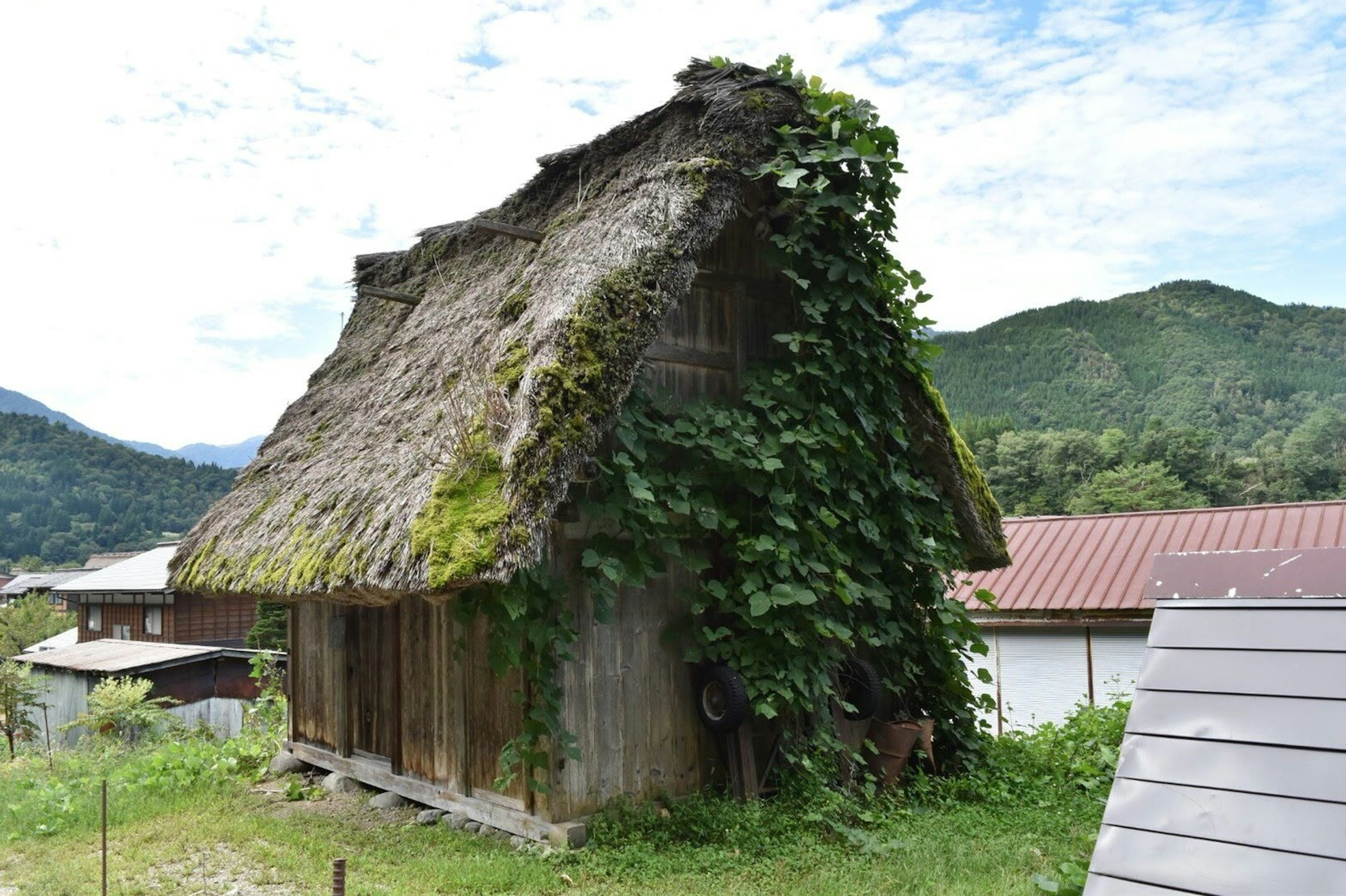 Une vieille maison à toit de chaume recouverte de vignes vertes avec un arrière-plan montagneux