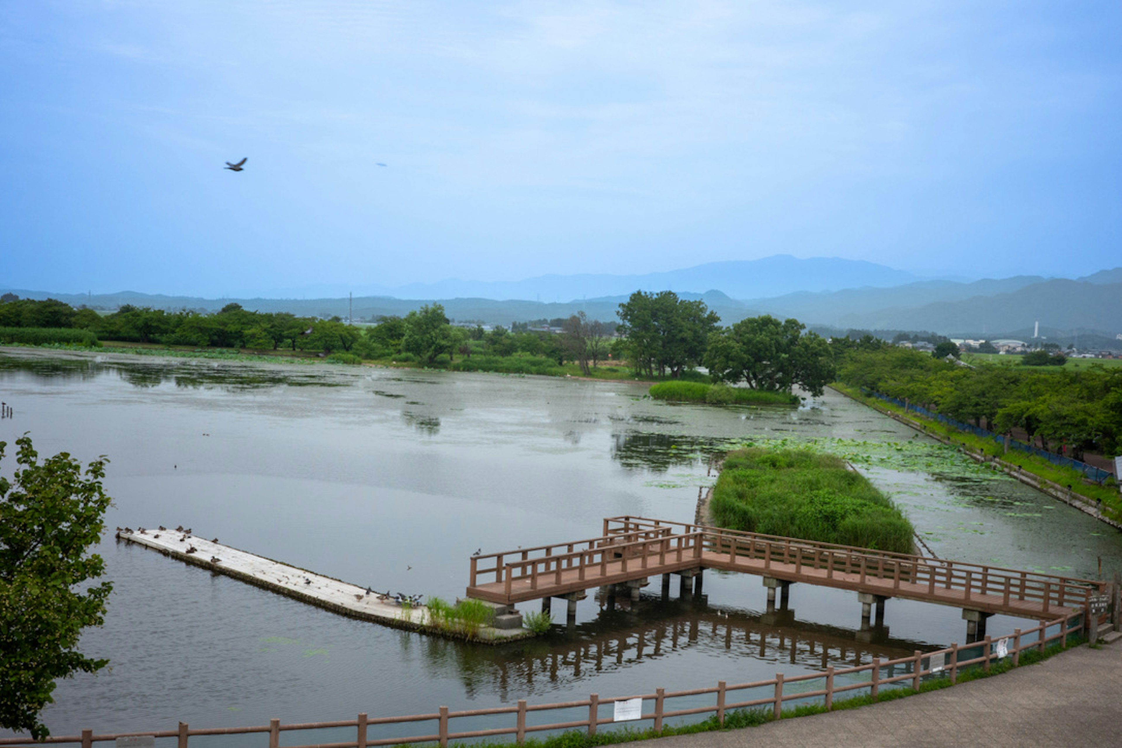 静かな湖と木製デッキの風景 緑豊かな周囲と青い空