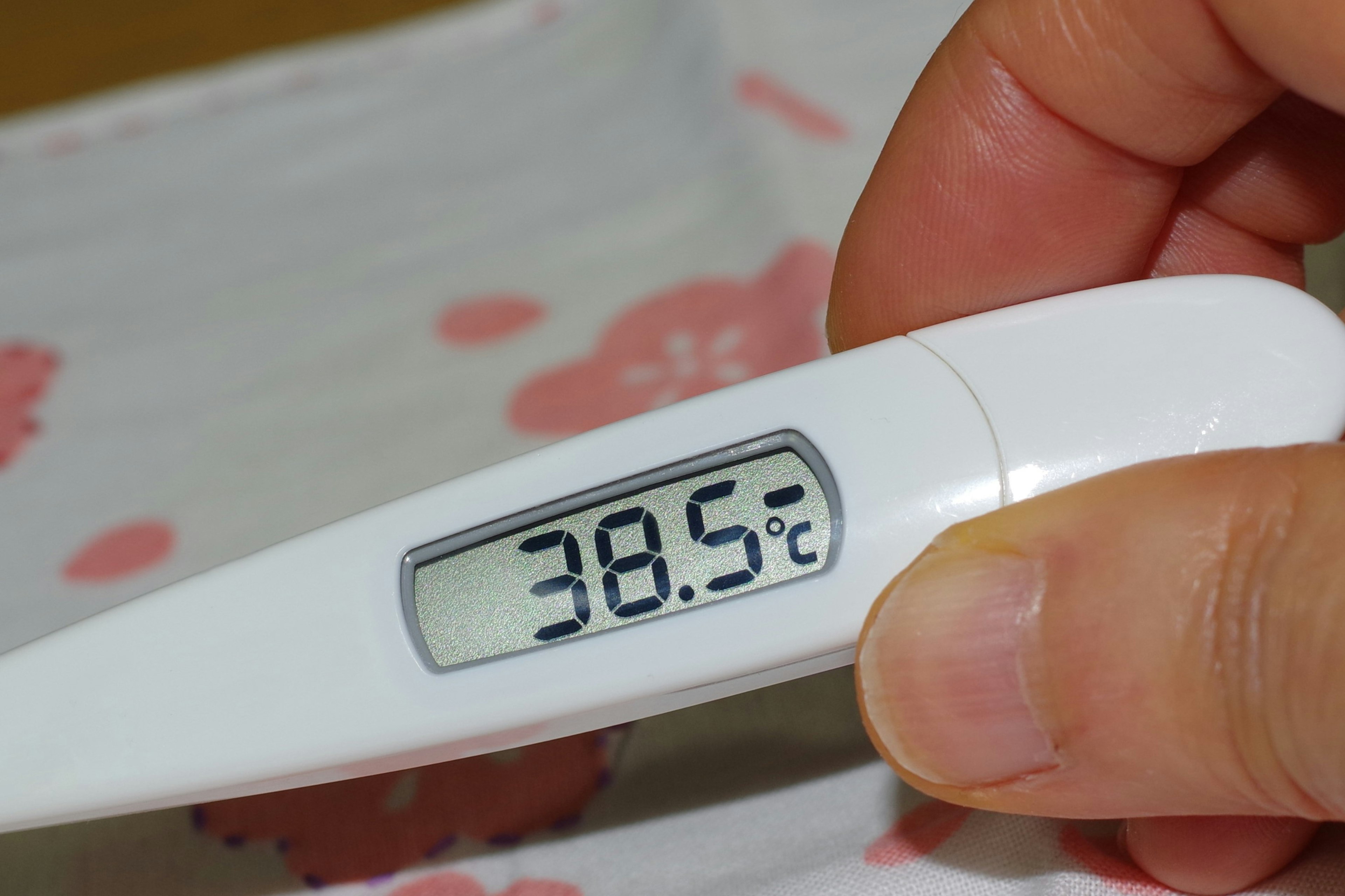 A thermometer showing 38.5°C held in a hand